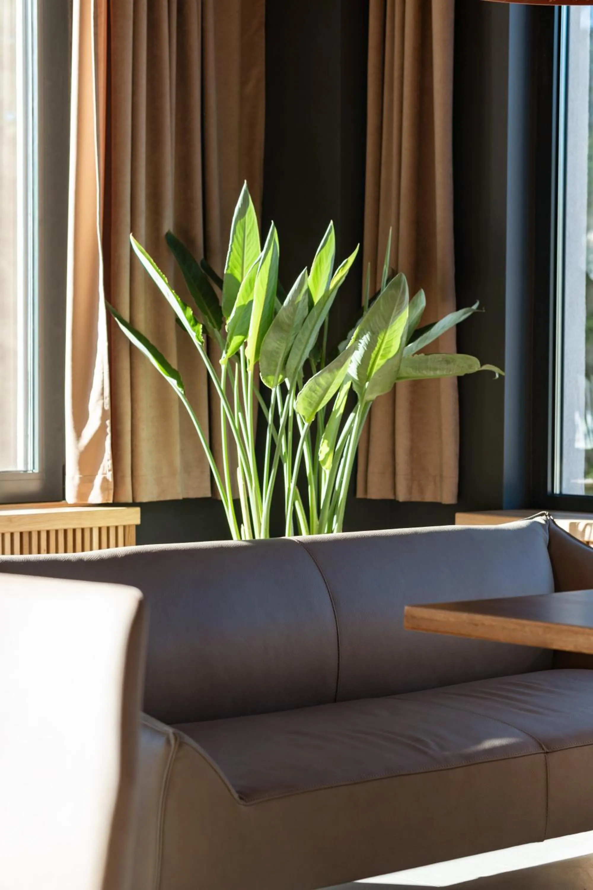 Restaurant/places to eat in Aparthotel Zlatni Javor