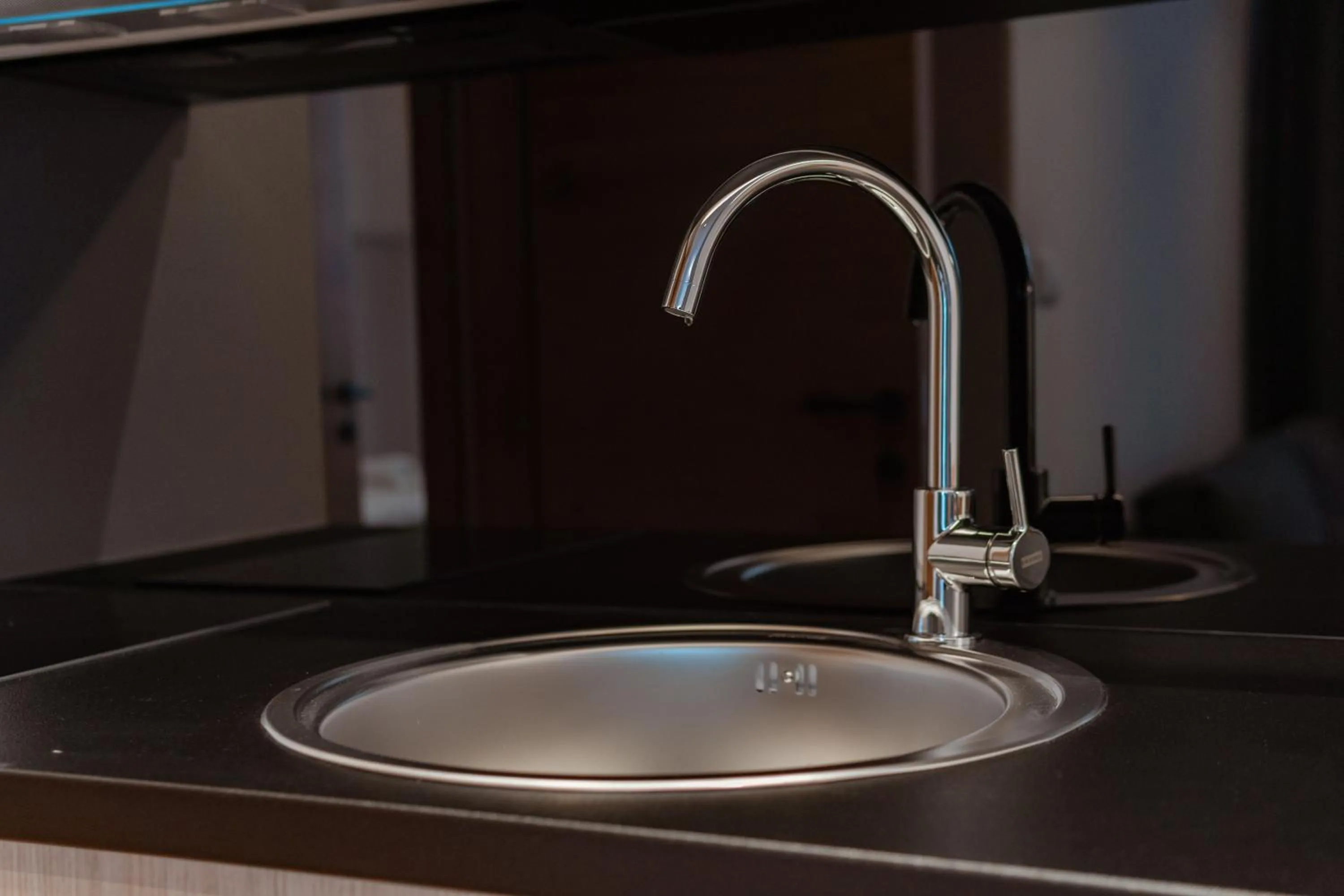 Kitchen or kitchenette in Aparthotel Zlatni Javor