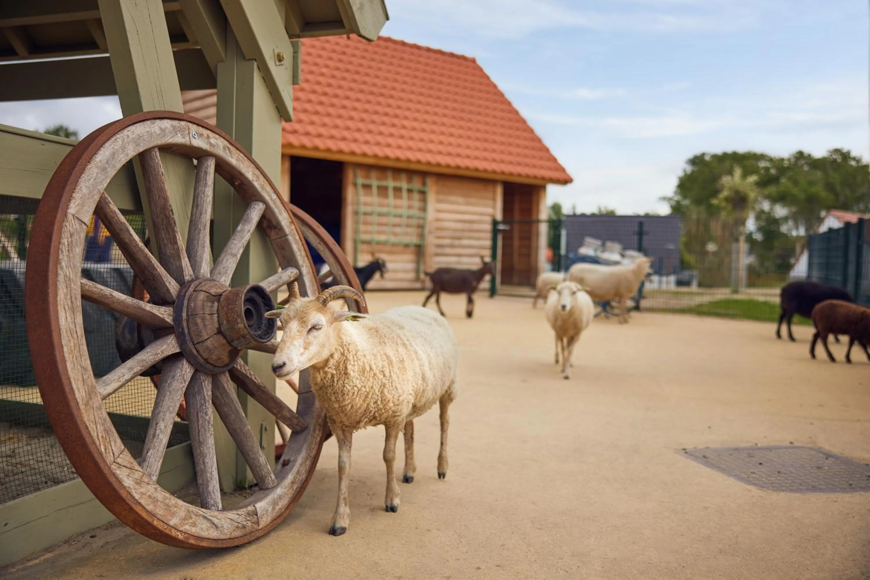 Animals in Beachhotel Zandvoort by Center Parcs