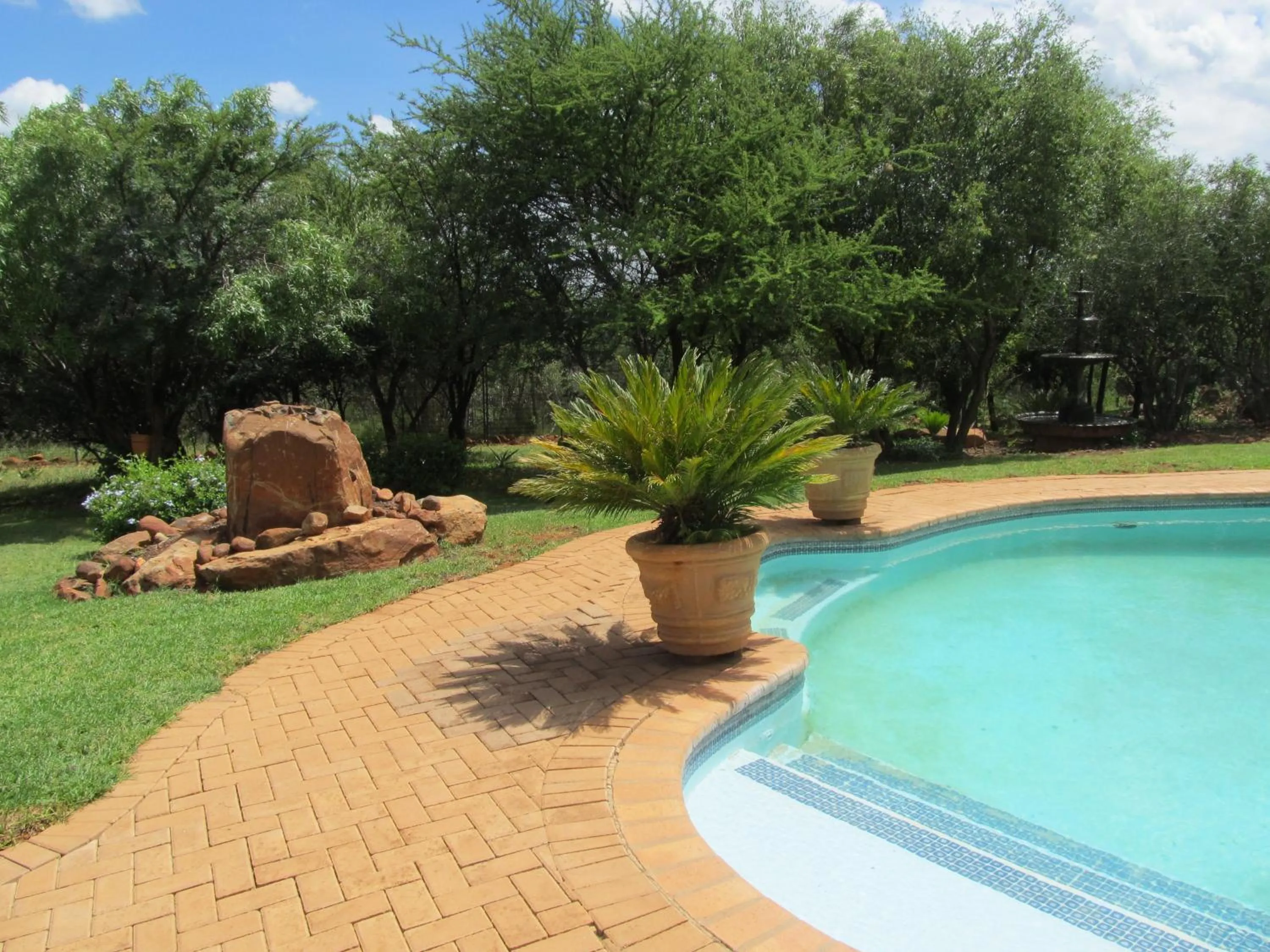 Swimming pool in Boubou Bed and Breakfast