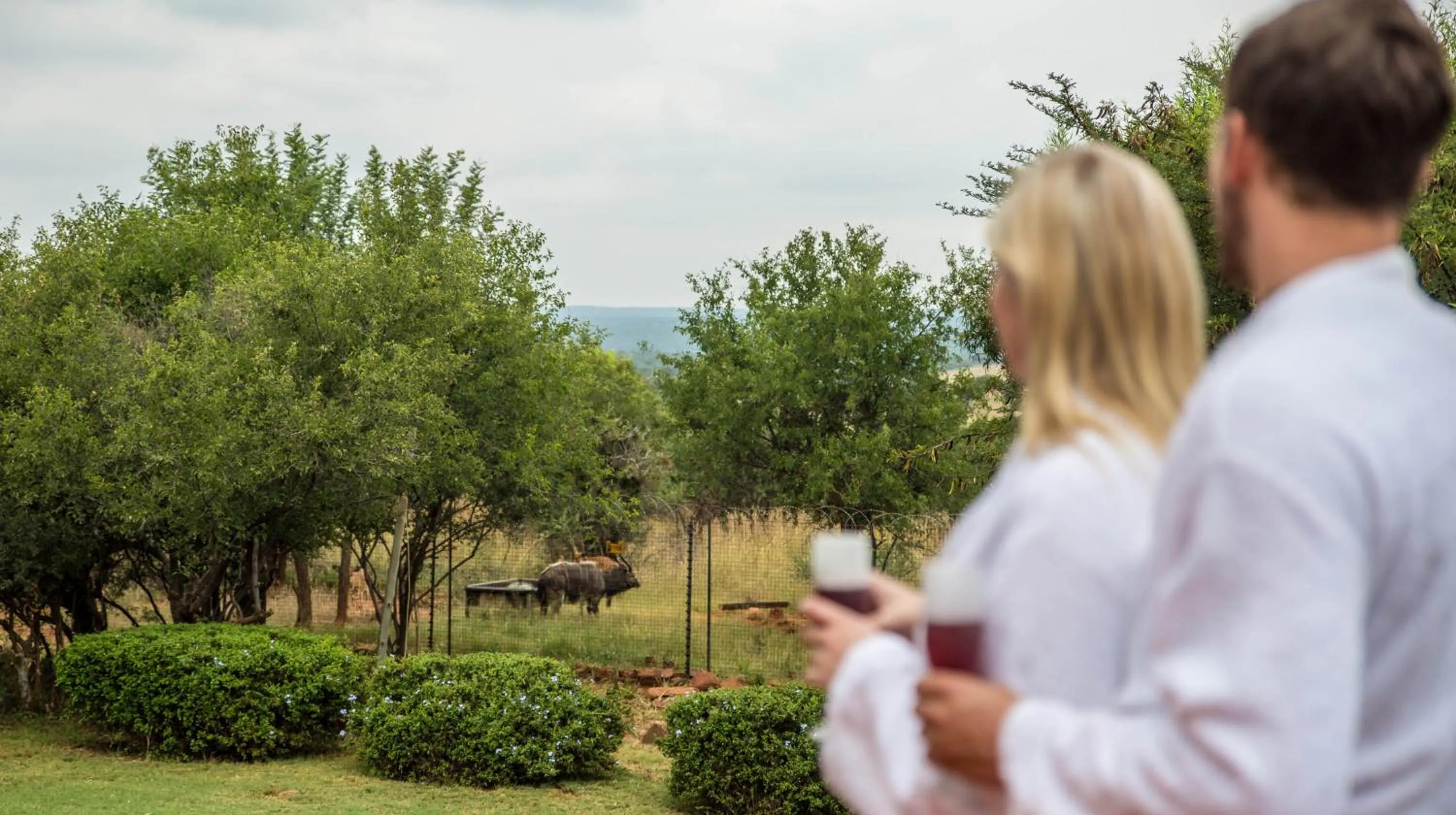 Property building in Boubou Bed and Breakfast