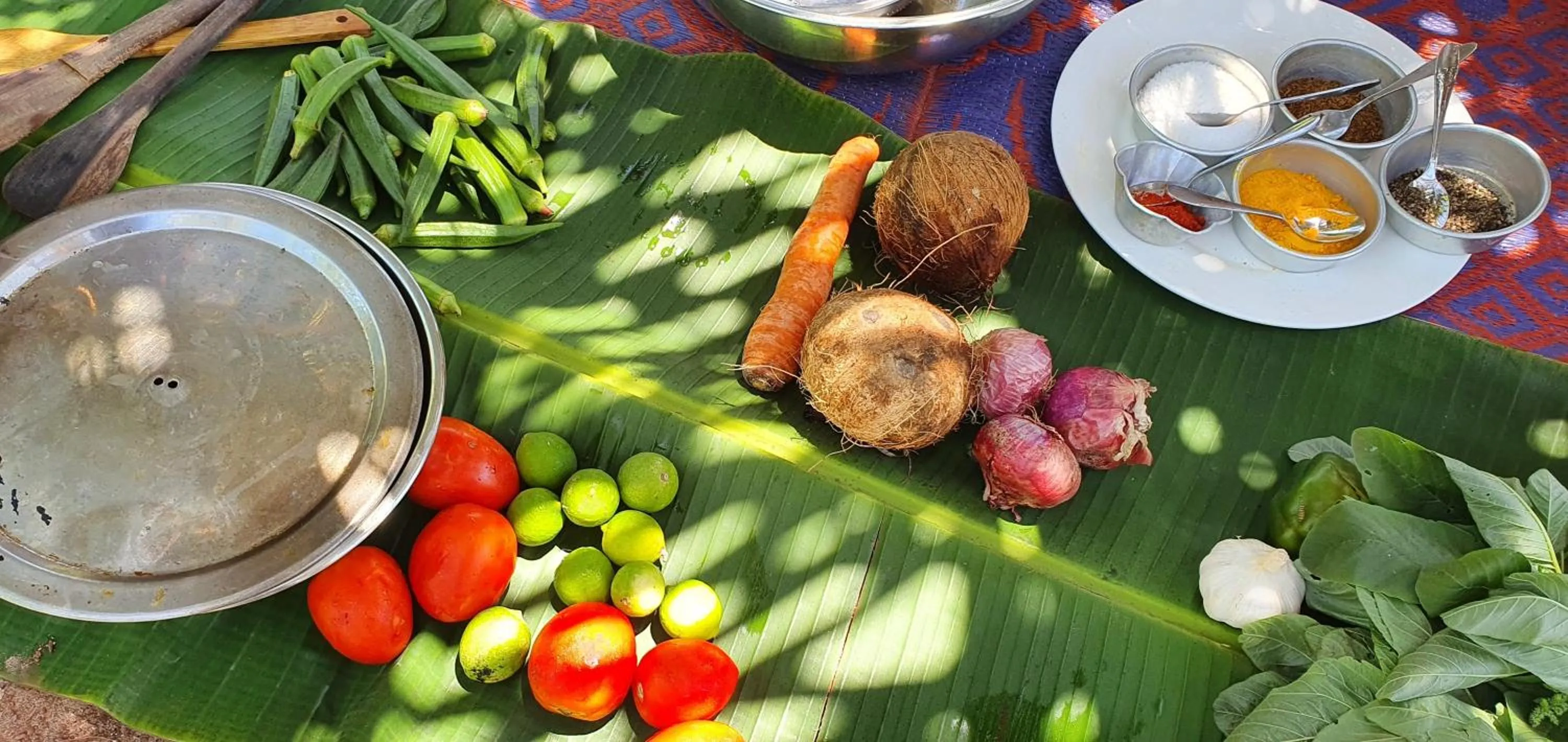 Activities in Zoi Retreat Hotel Zanzibar