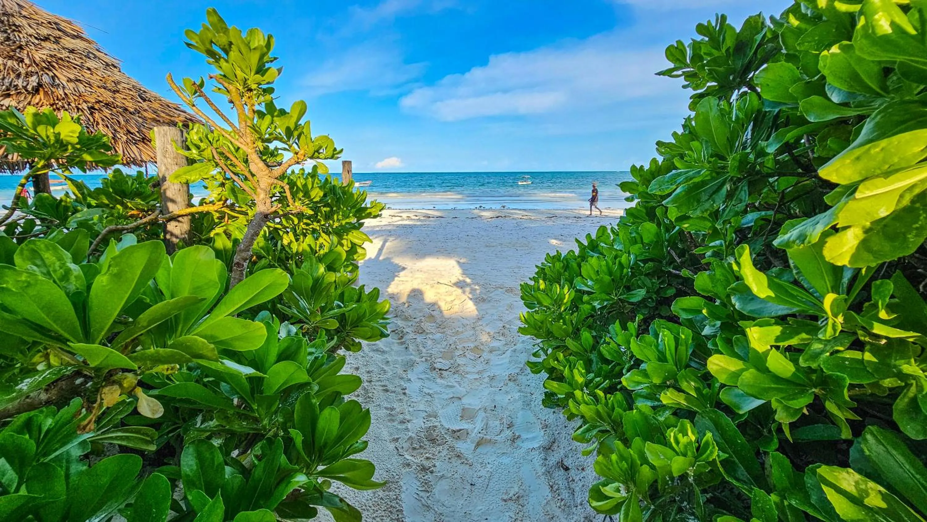 Day in Zoi Retreat Hotel Zanzibar