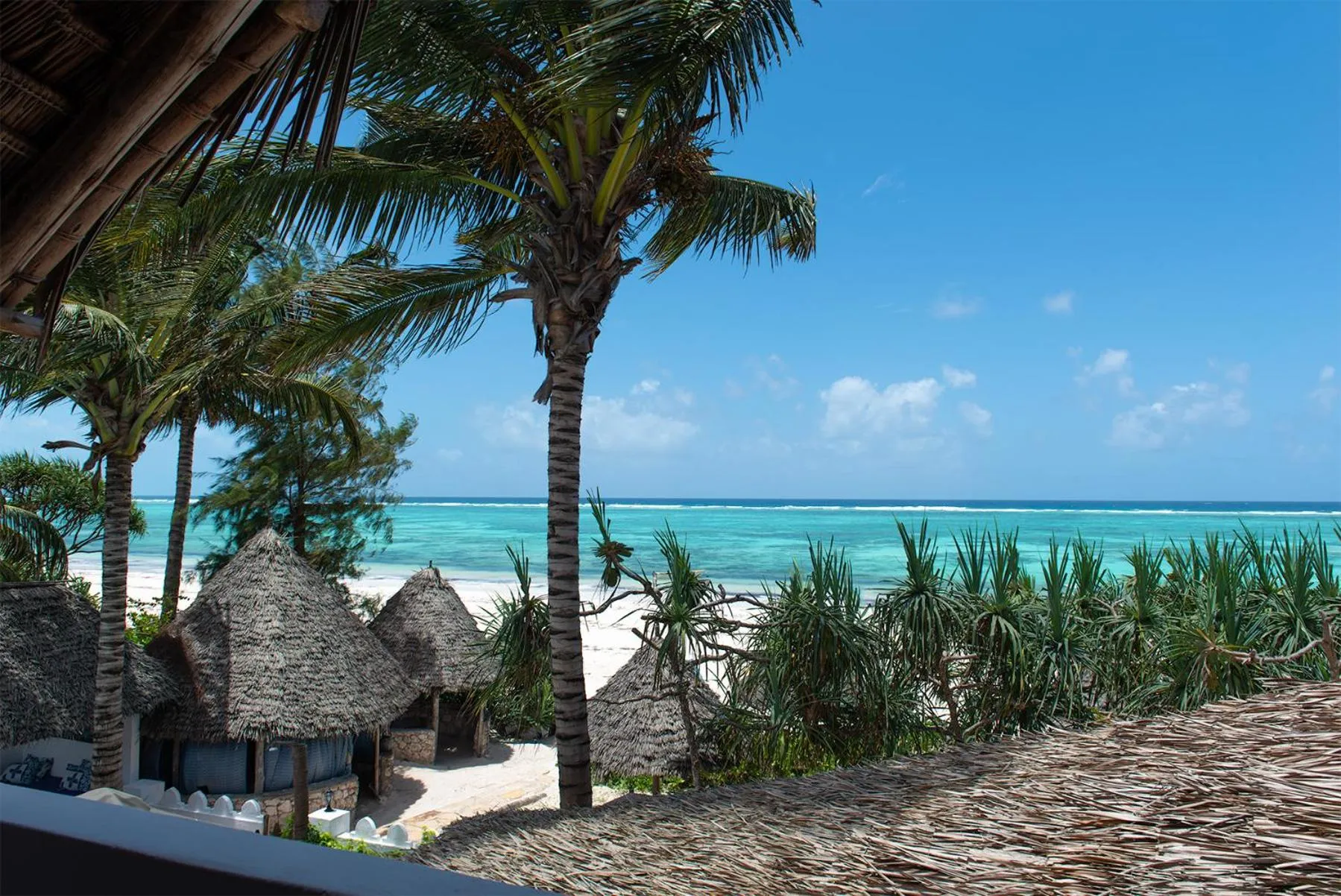 Natural landscape in Zoi Retreat Hotel Zanzibar