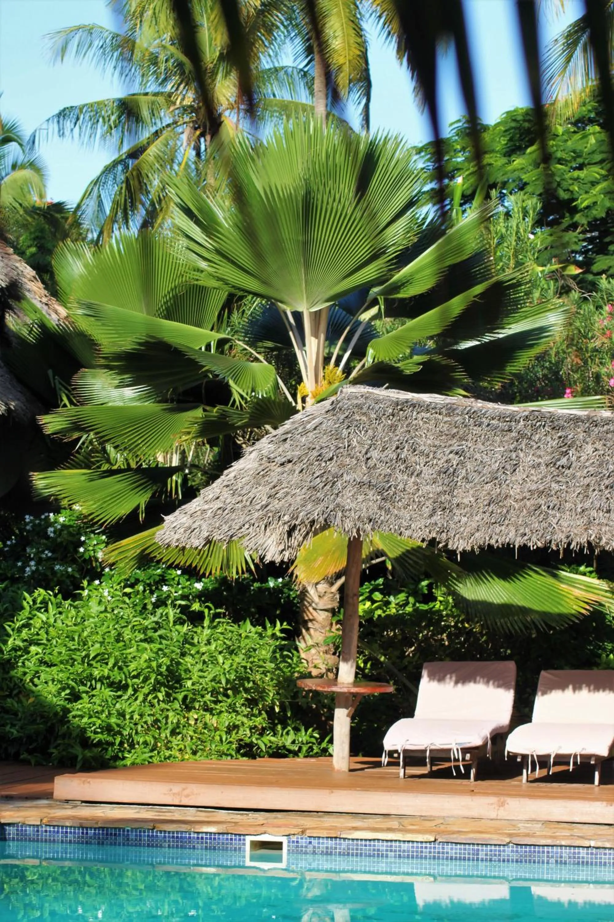 Swimming pool in Zoi Retreat Hotel Zanzibar
