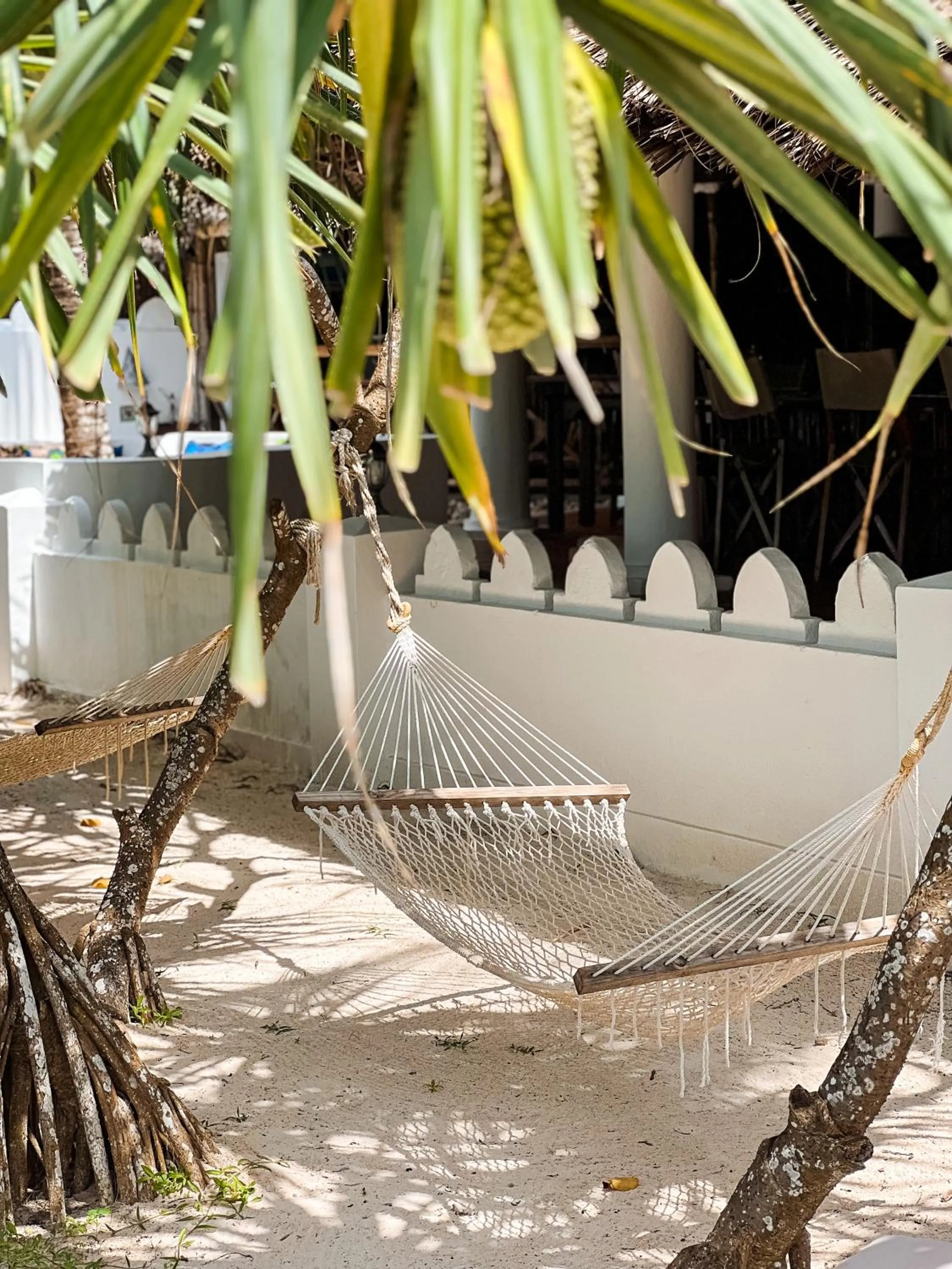 Garden in Zoi Retreat Hotel Zanzibar