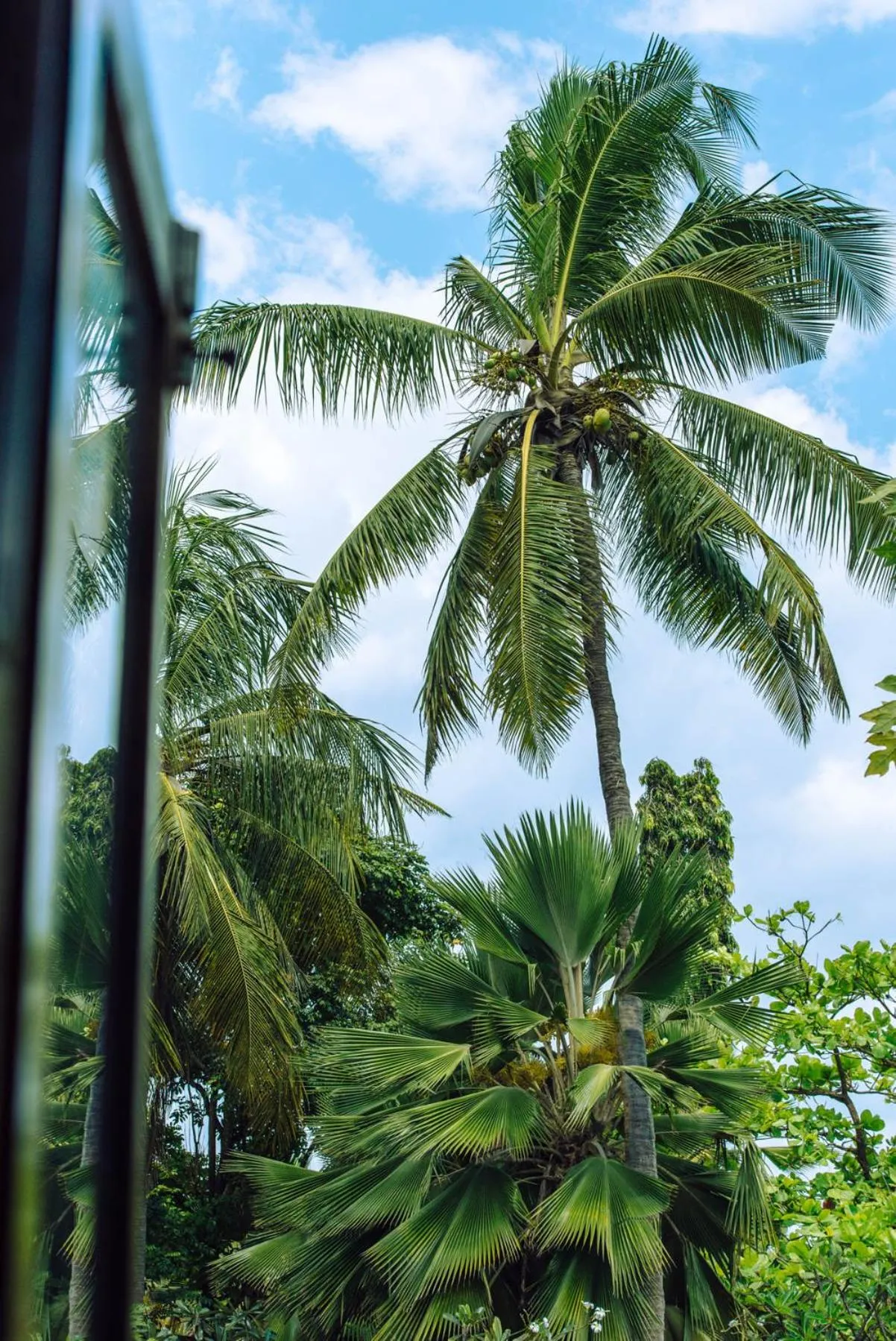Natural landscape in Zoi Retreat Hotel Zanzibar