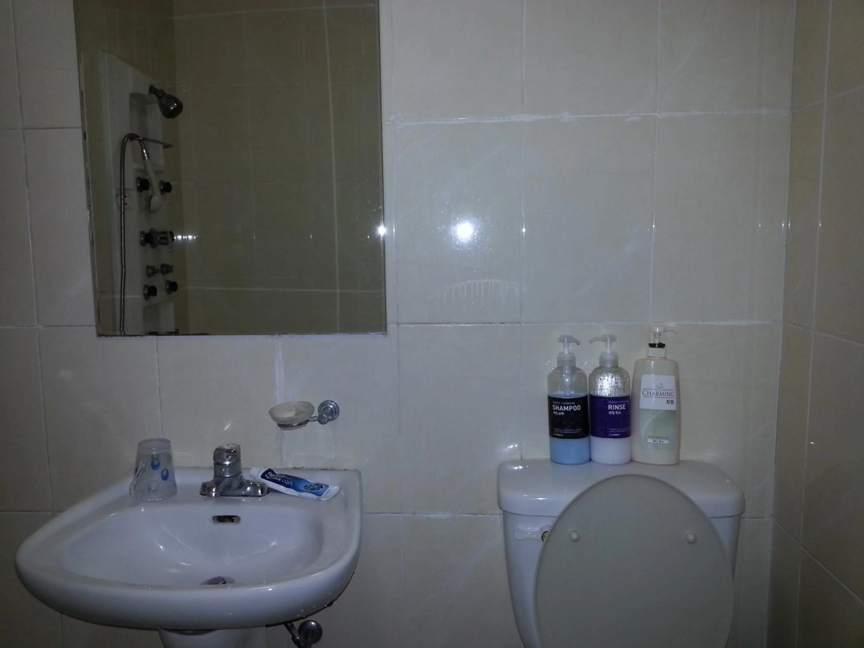 Bathroom in Egg Motel
