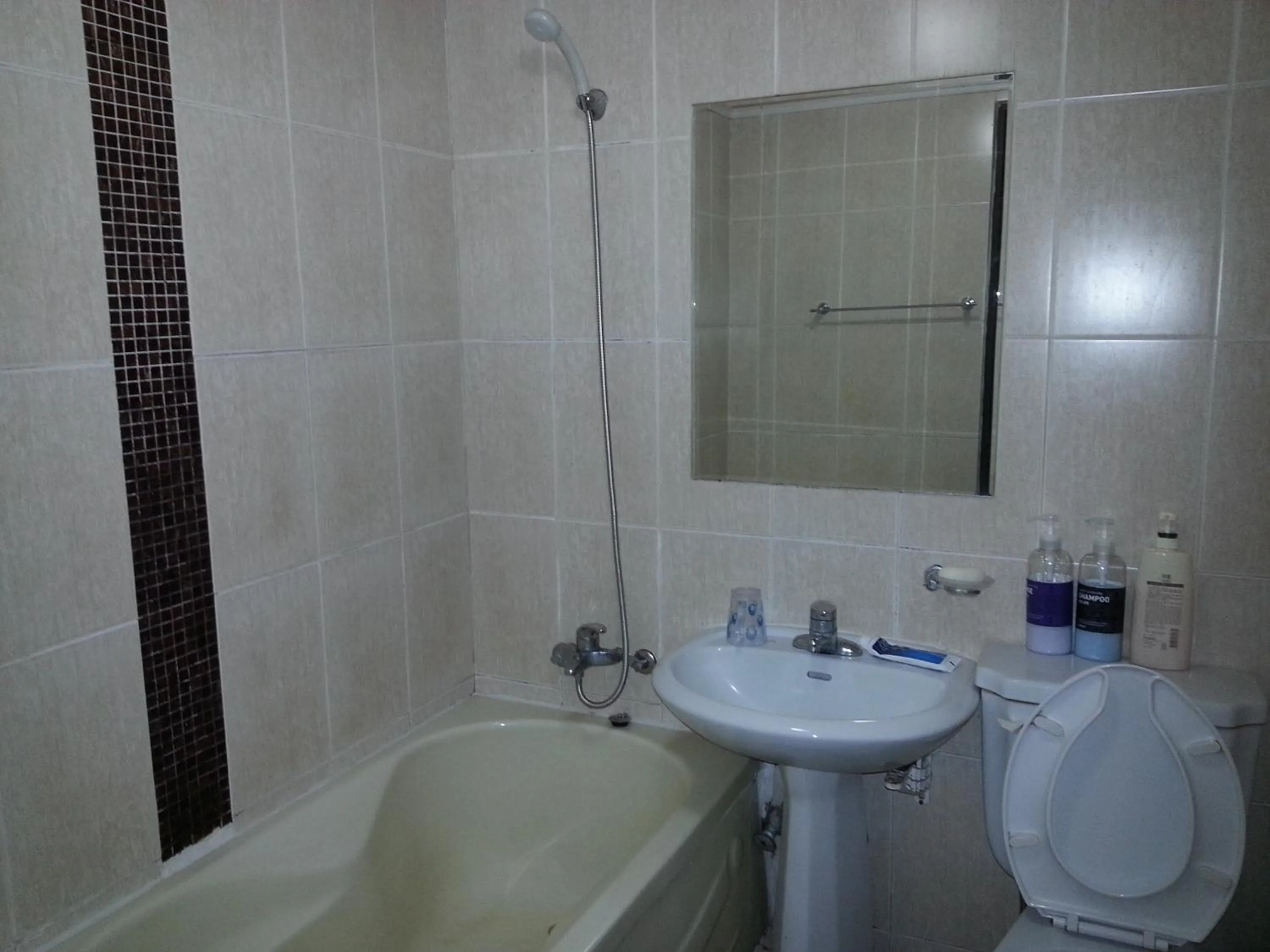 Bathroom in Egg Motel
