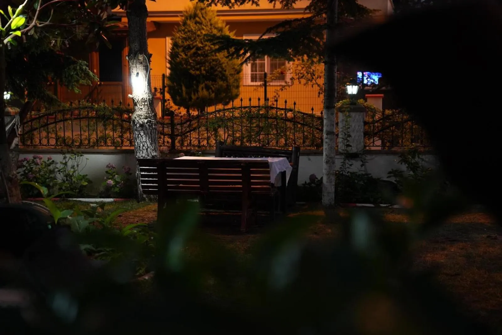 Night in BUTTERFLY BOUTIQUE HOTEL AĞVA