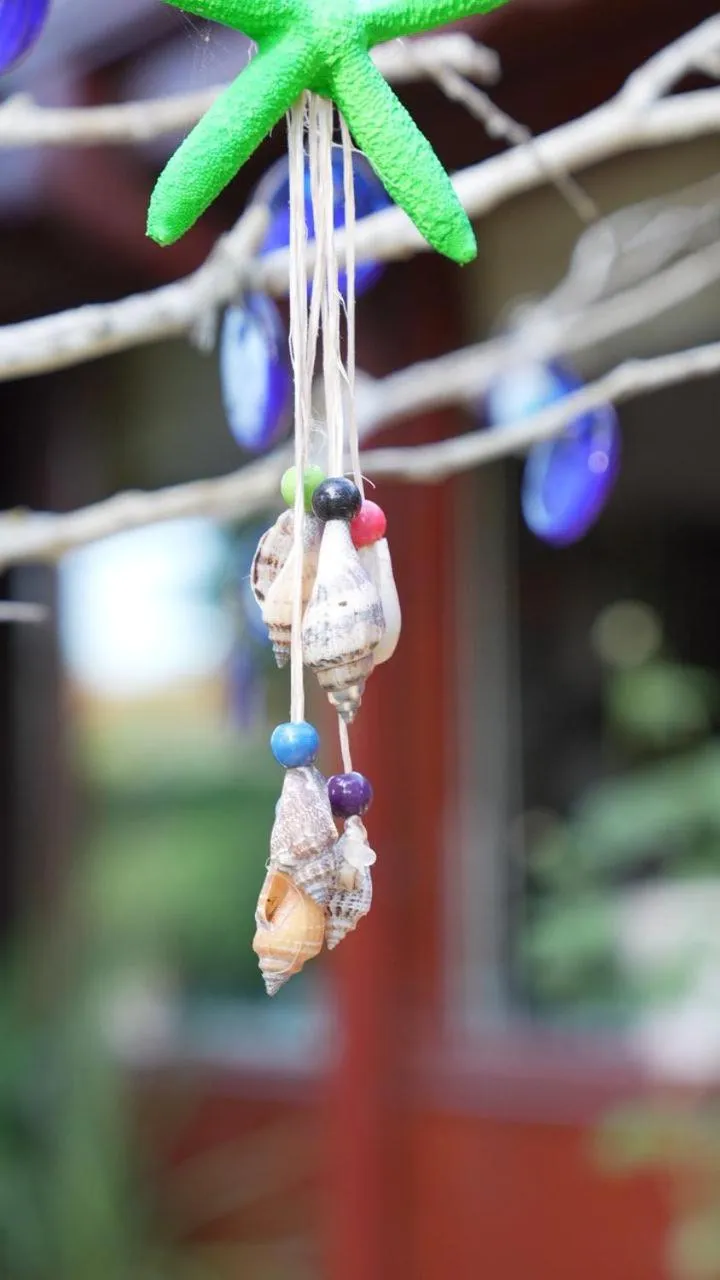 Day in BUTTERFLY BOUTIQUE HOTEL AĞVA