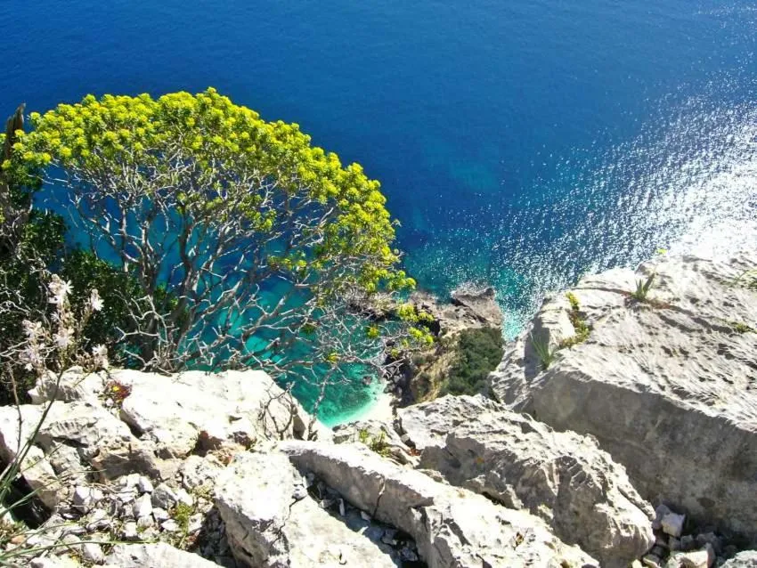 Nearby landmark in B&B Sa Clarera