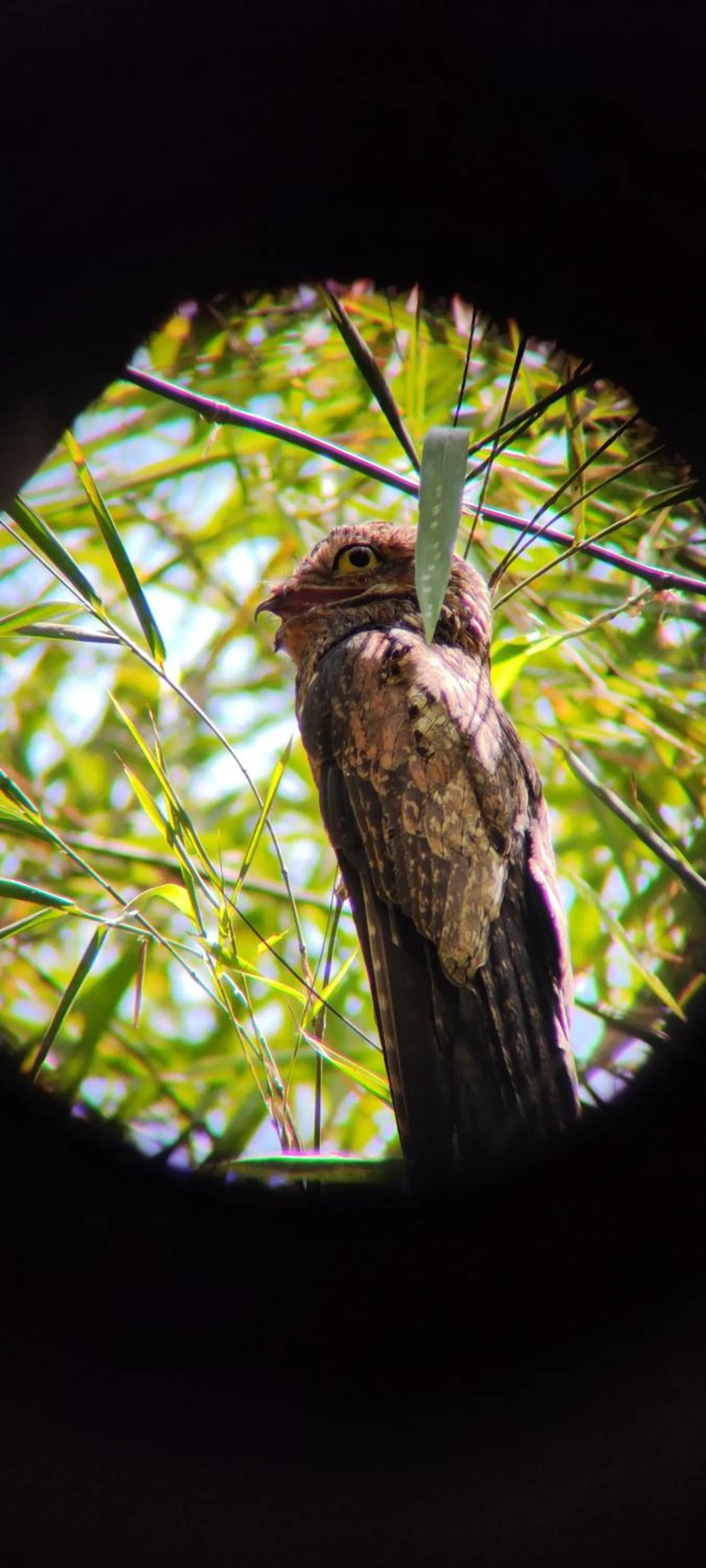 Natural landscape in Cabinas Tropicales
