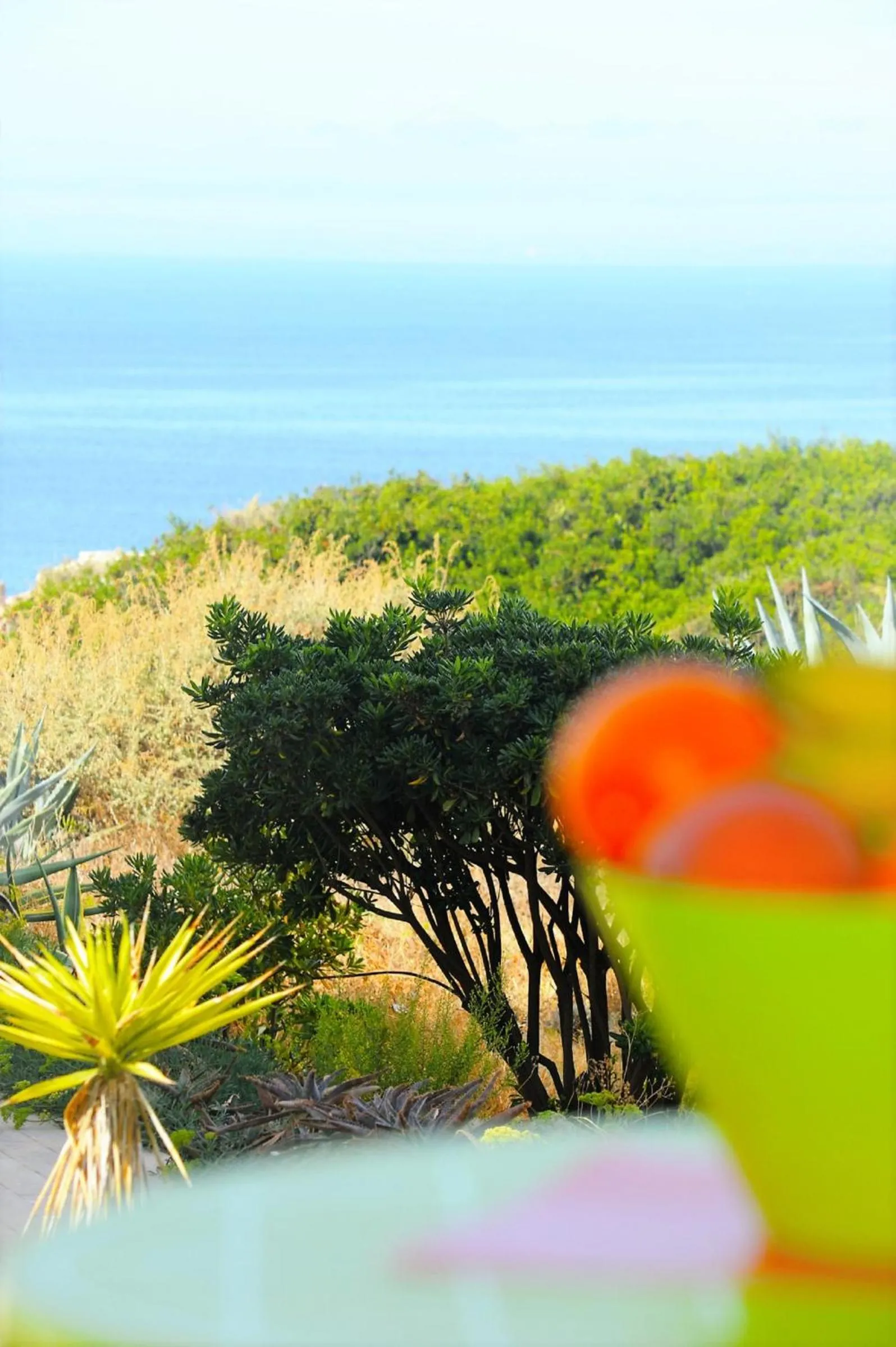 Sea view in Algarpraia