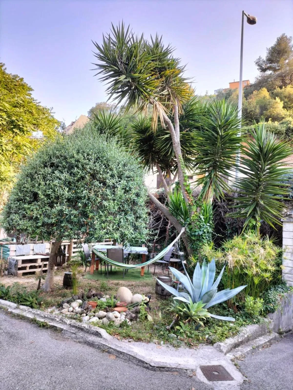 Garden view in Villa Bellabé