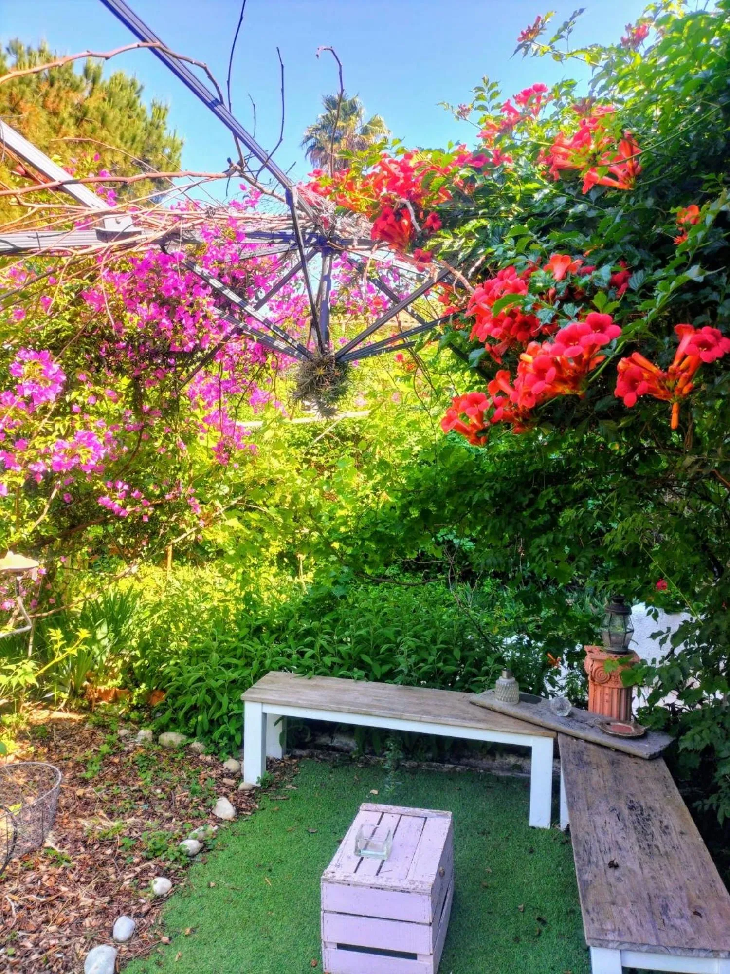 Decorative detail in Villa Bellabé