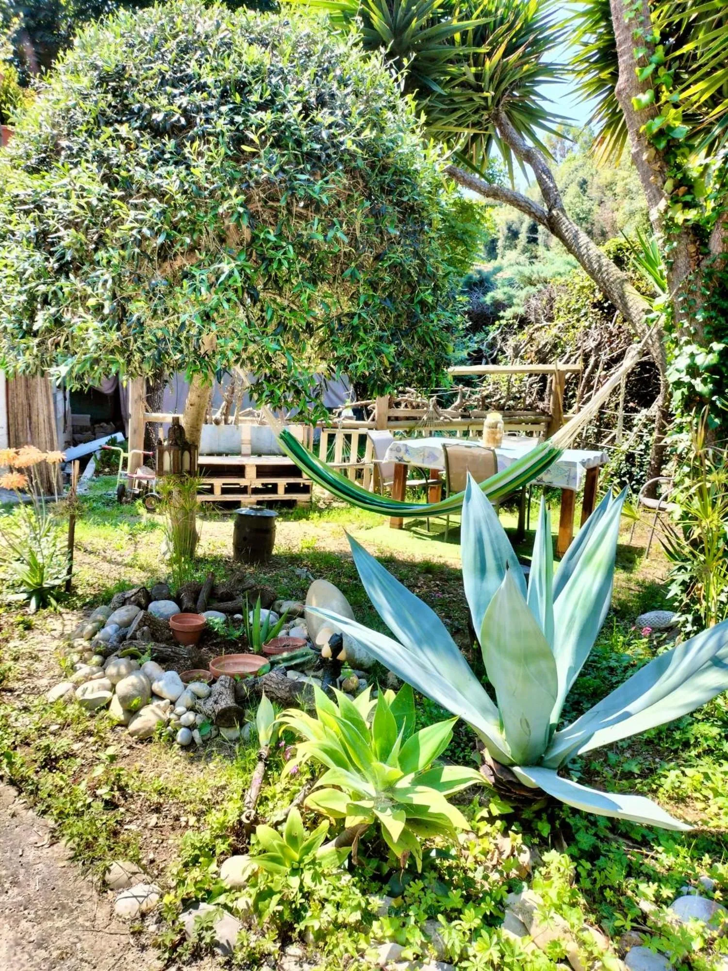 Garden in Villa Bellabé