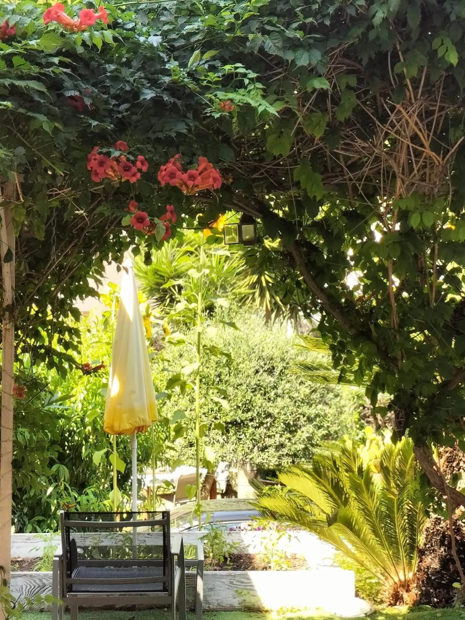 Patio in Villa Bellabé