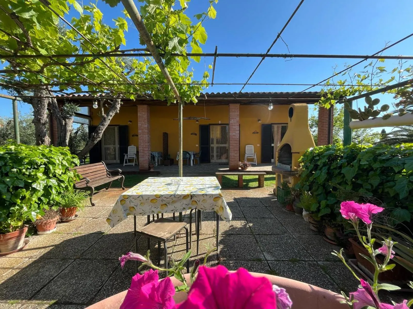 View (from property/room) in Agriturismo La Carlina