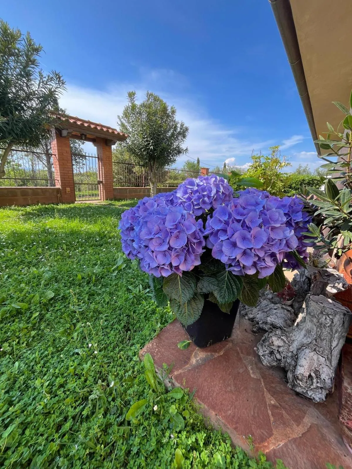 Spring in Agriturismo La Carlina
