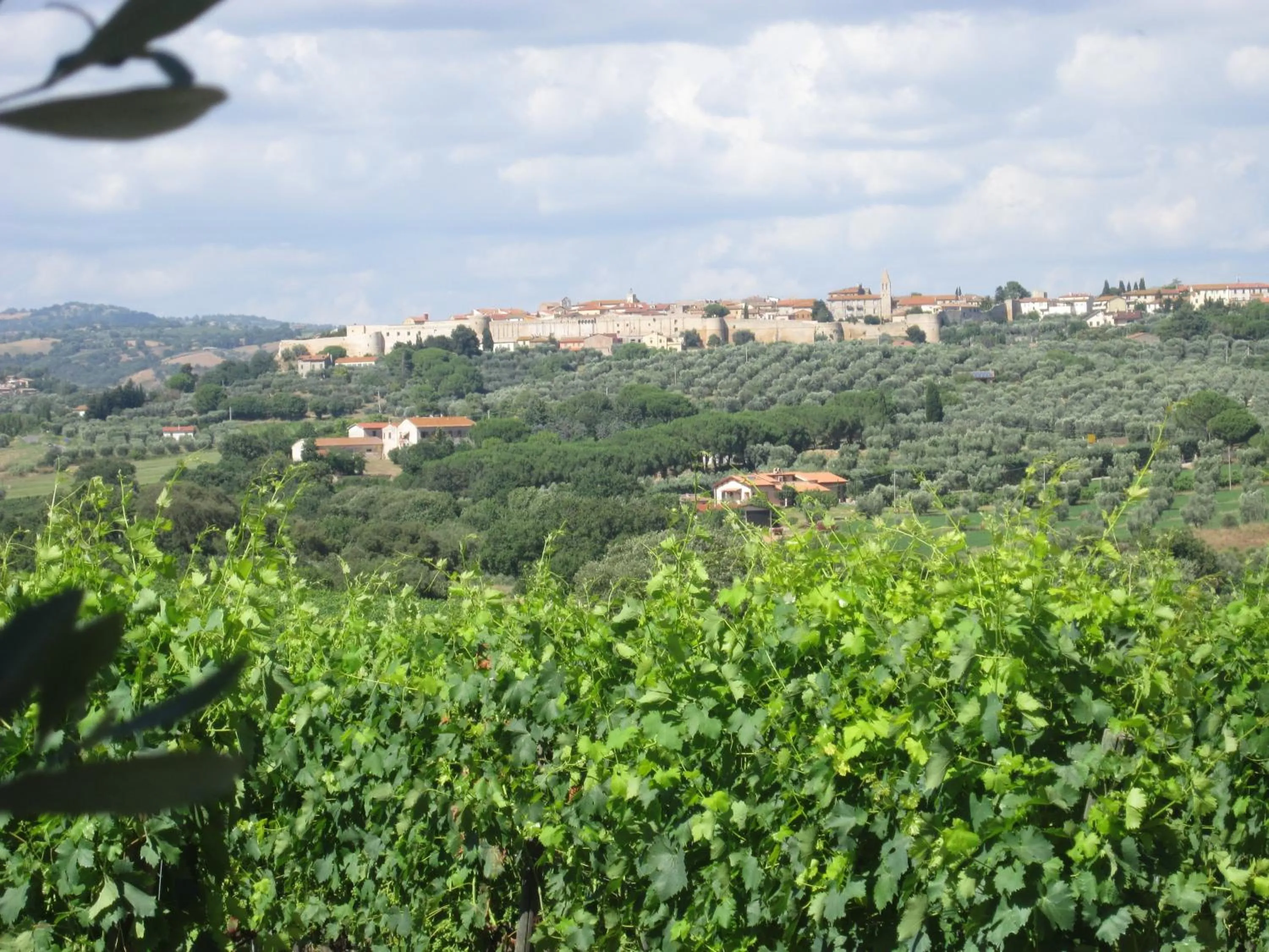Nearby landmark in Agriturismo La Carlina