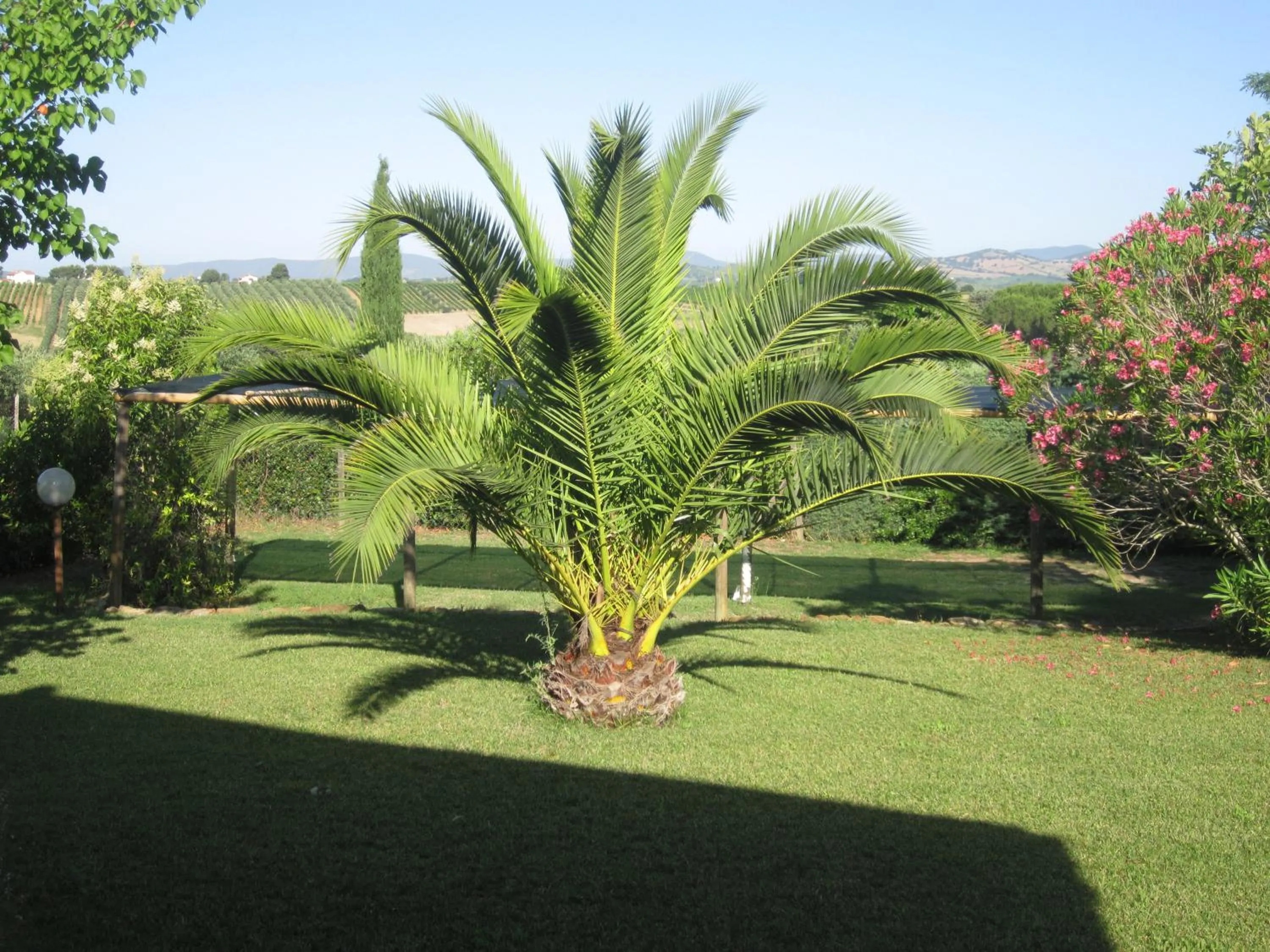 Garden in Agriturismo La Carlina