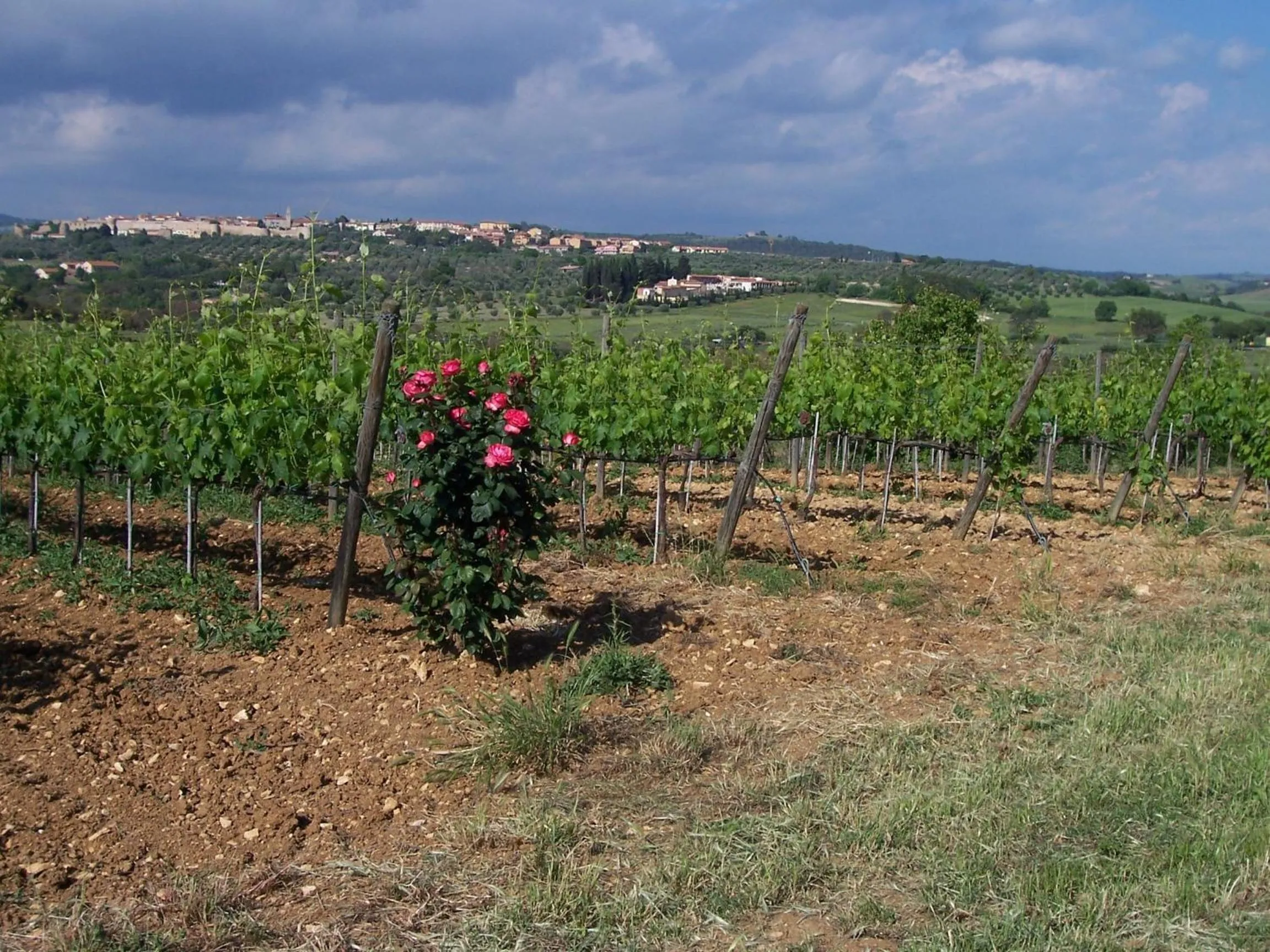 Natural landscape in Agriturismo La Carlina