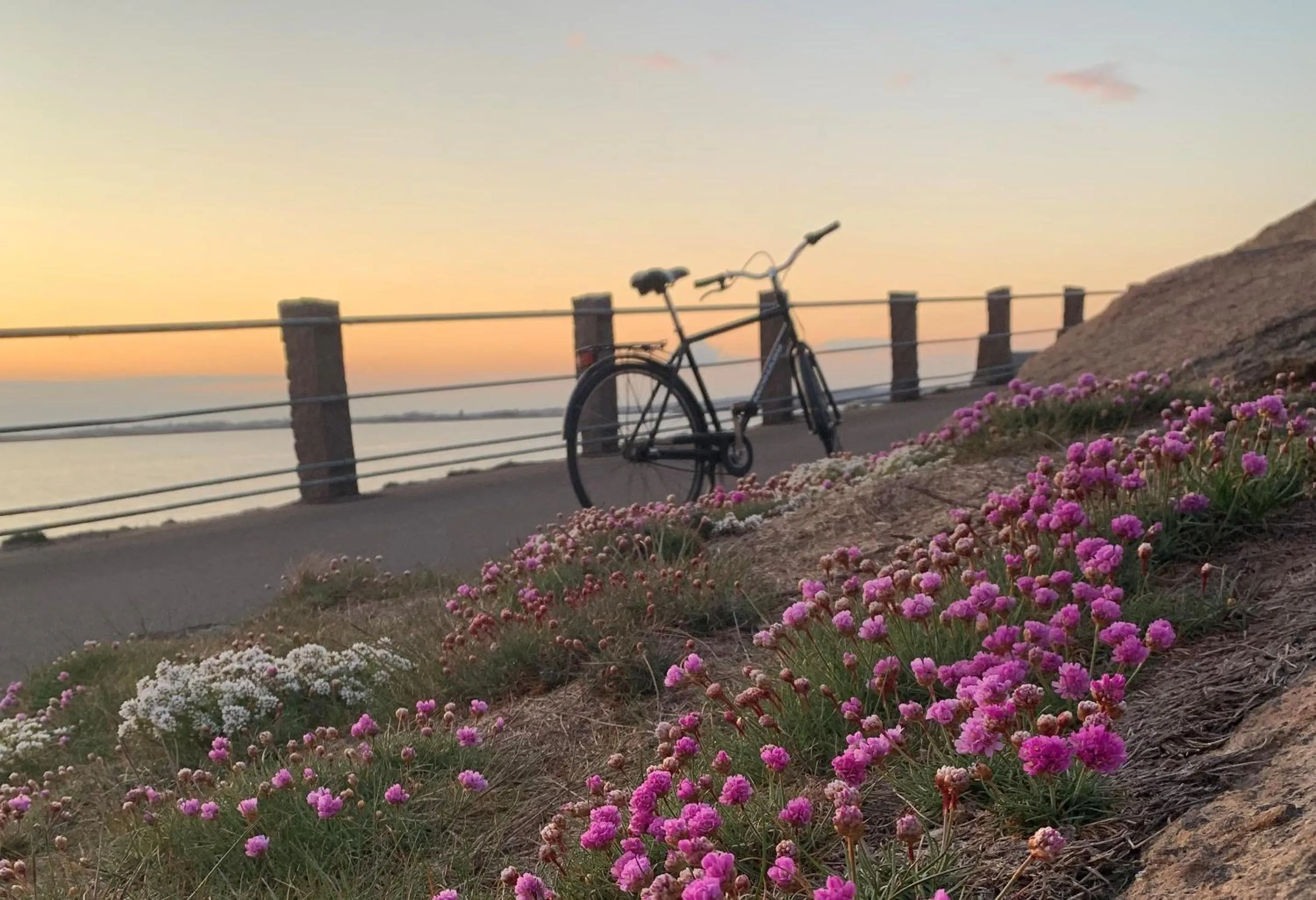 Natural landscape in Fästningens