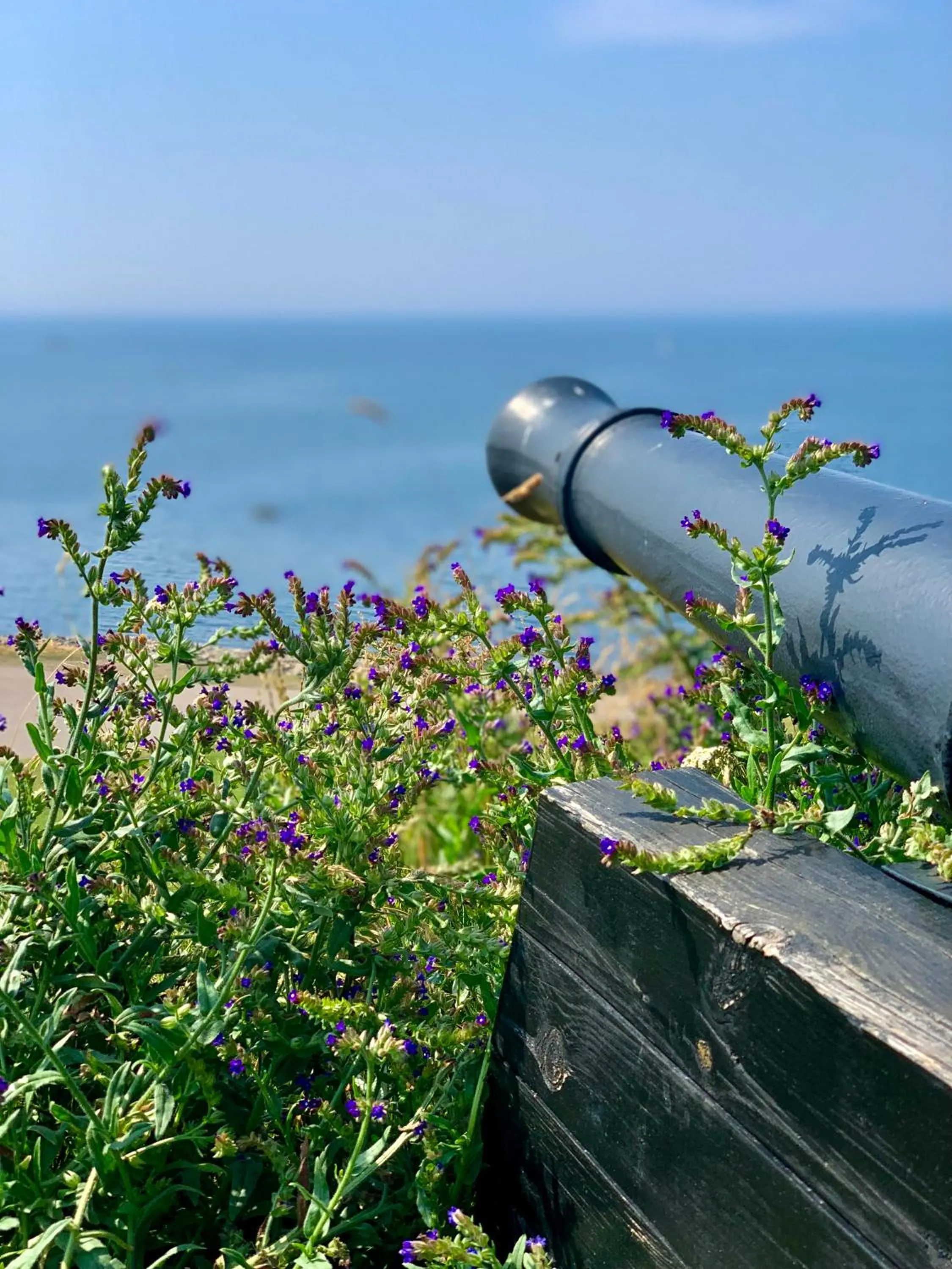 Other in Fästningens