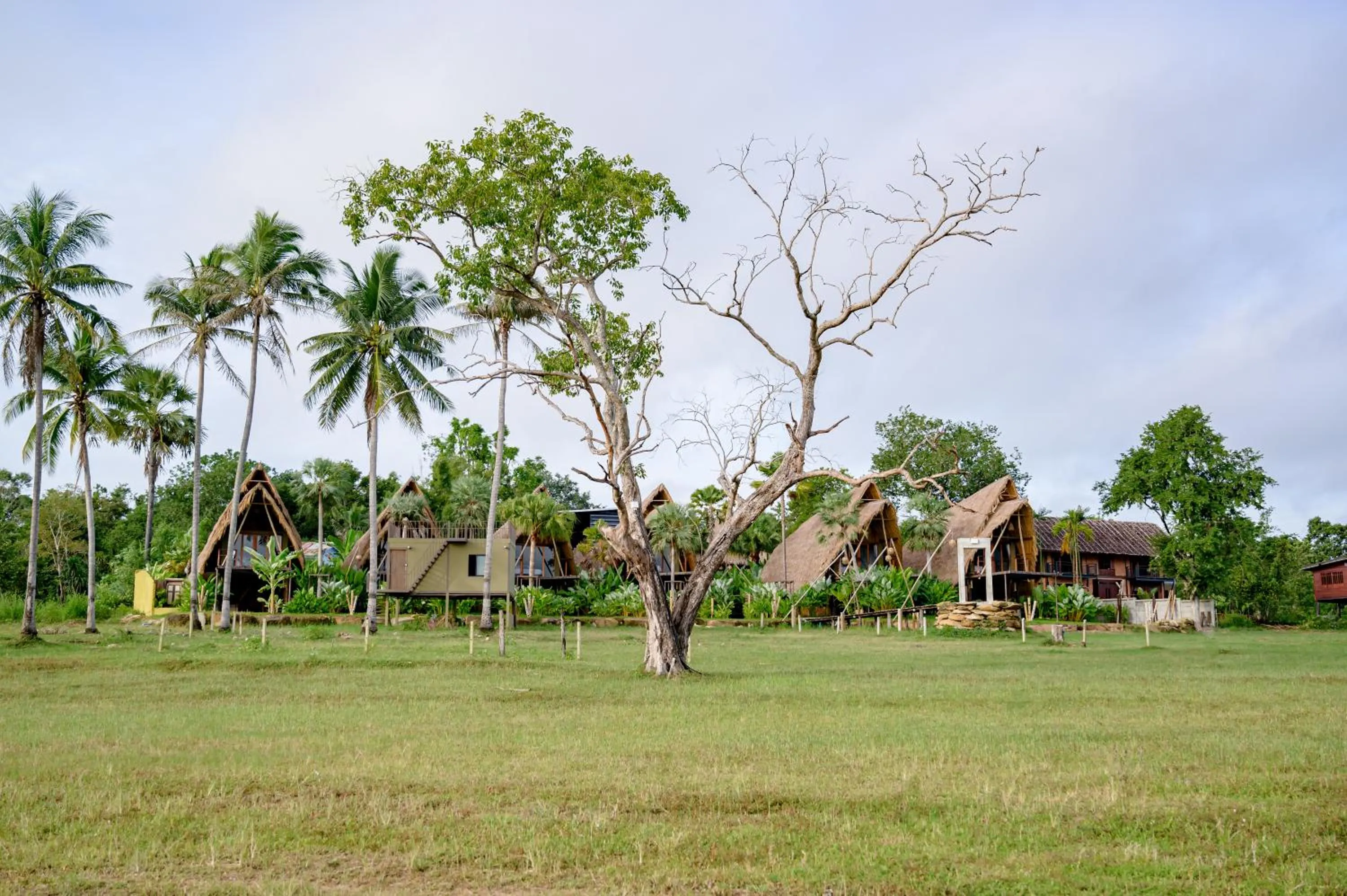 Earth Elements Eco Resort