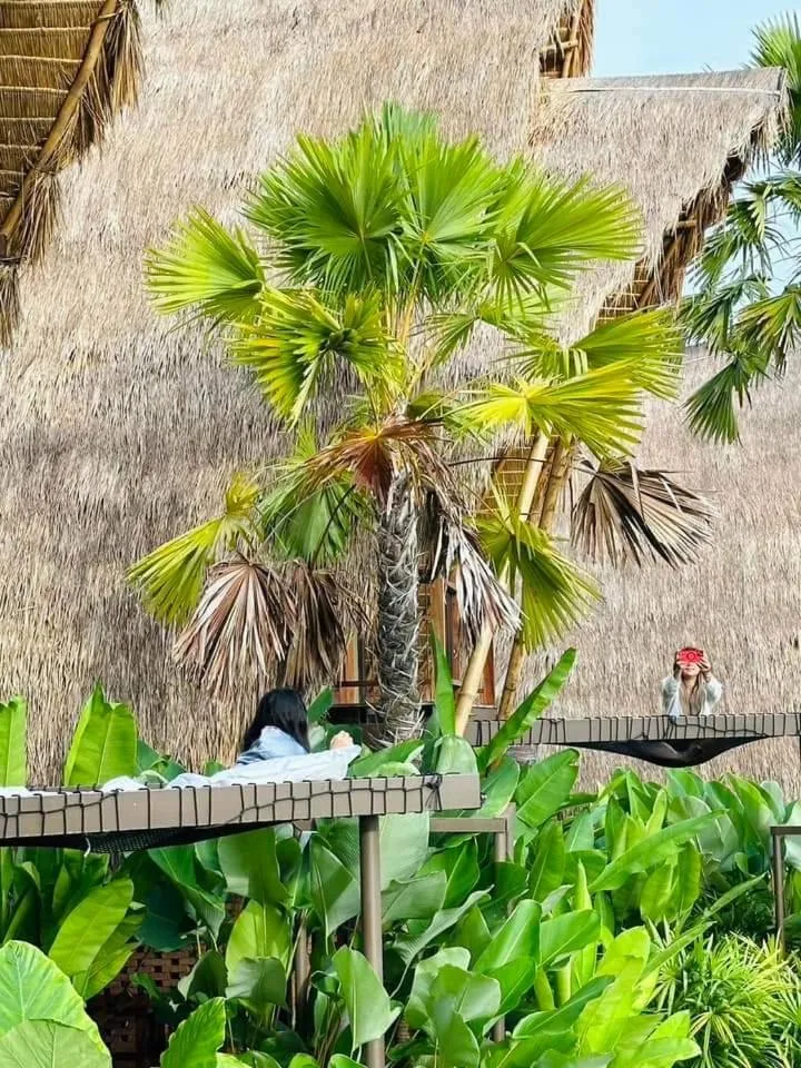 Earth Elements Eco Resort