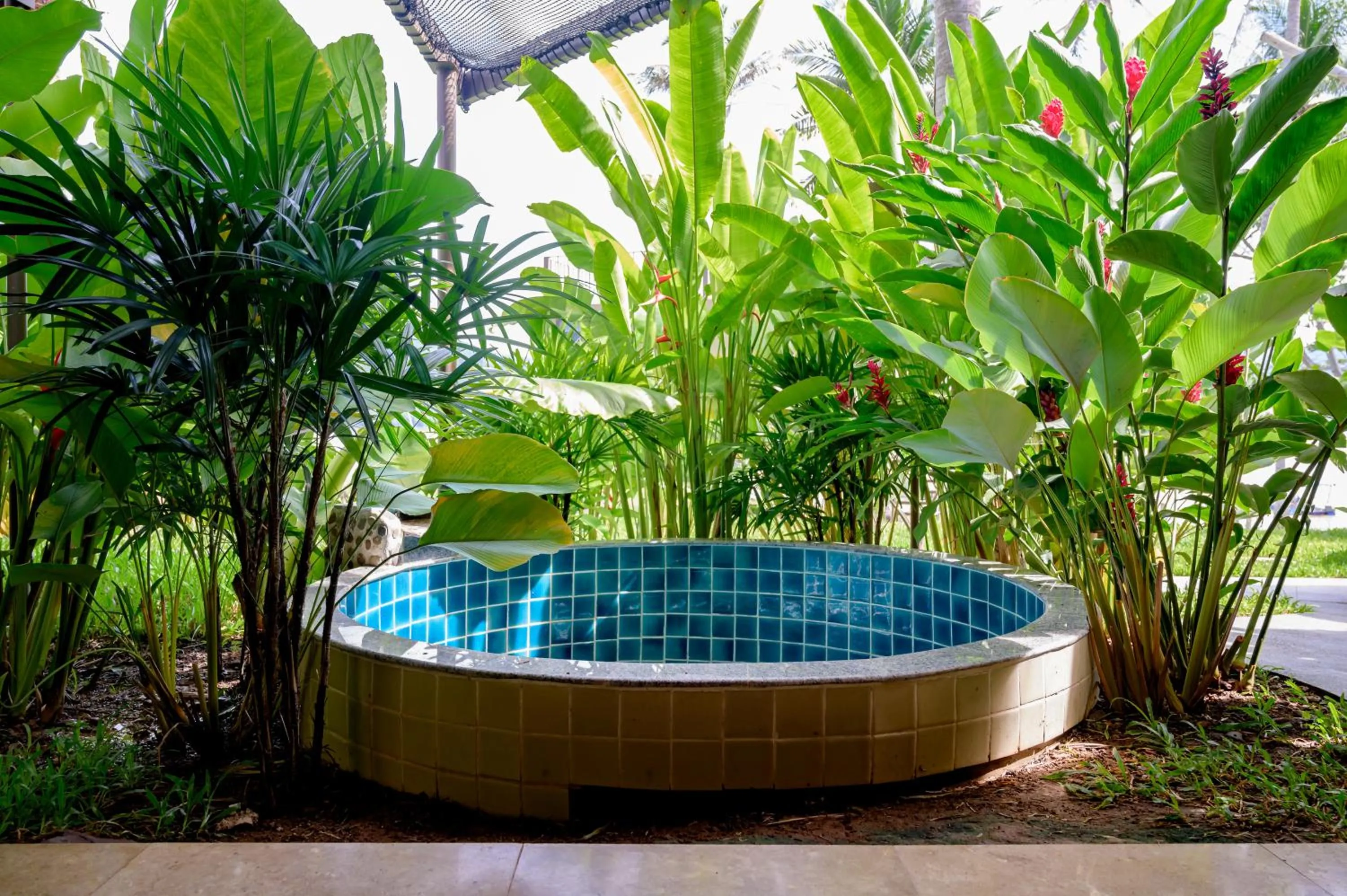 Earth Elements Eco Resort