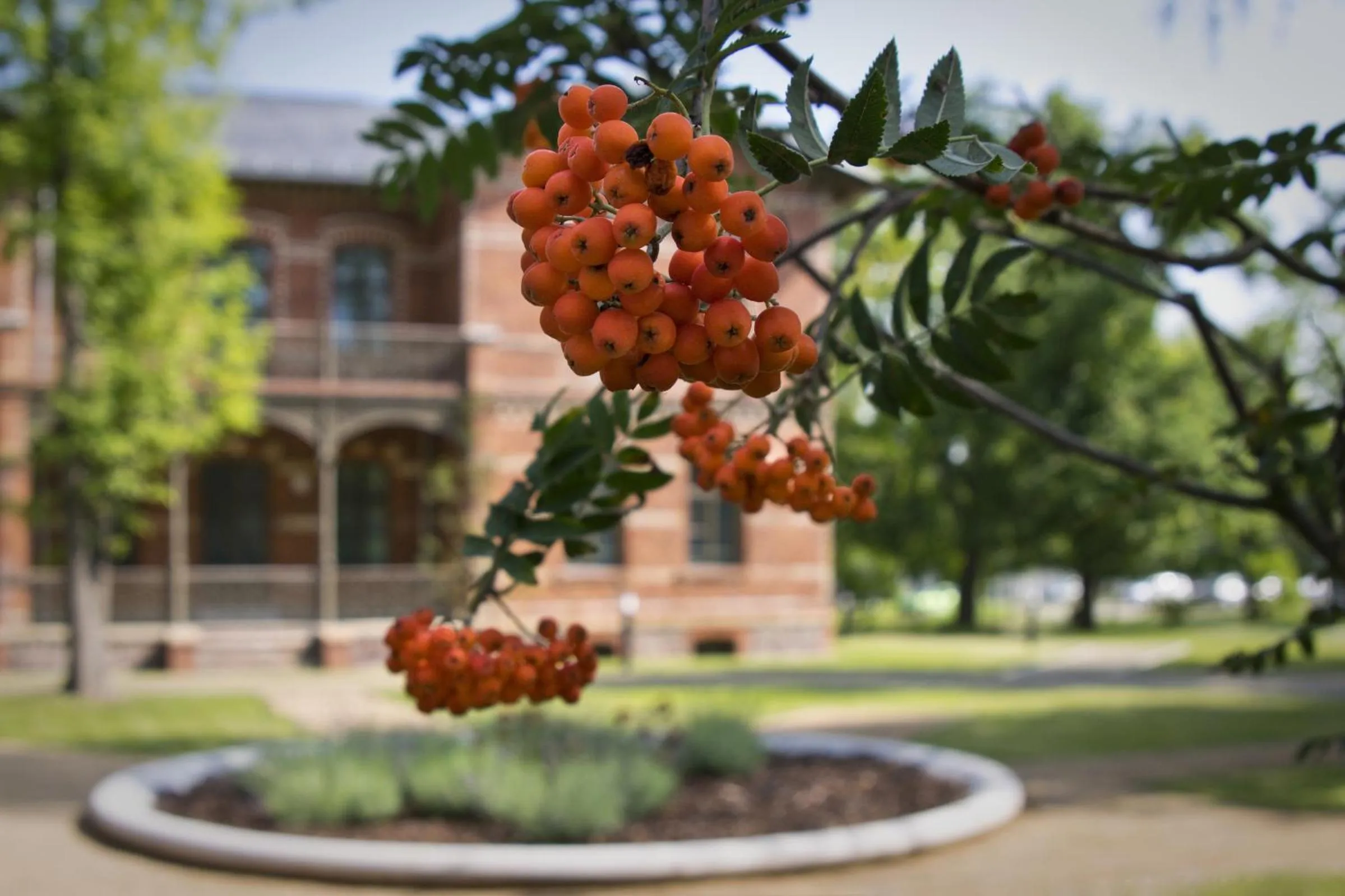 View (from property/room) in Boardinghaus Weinberg Campus