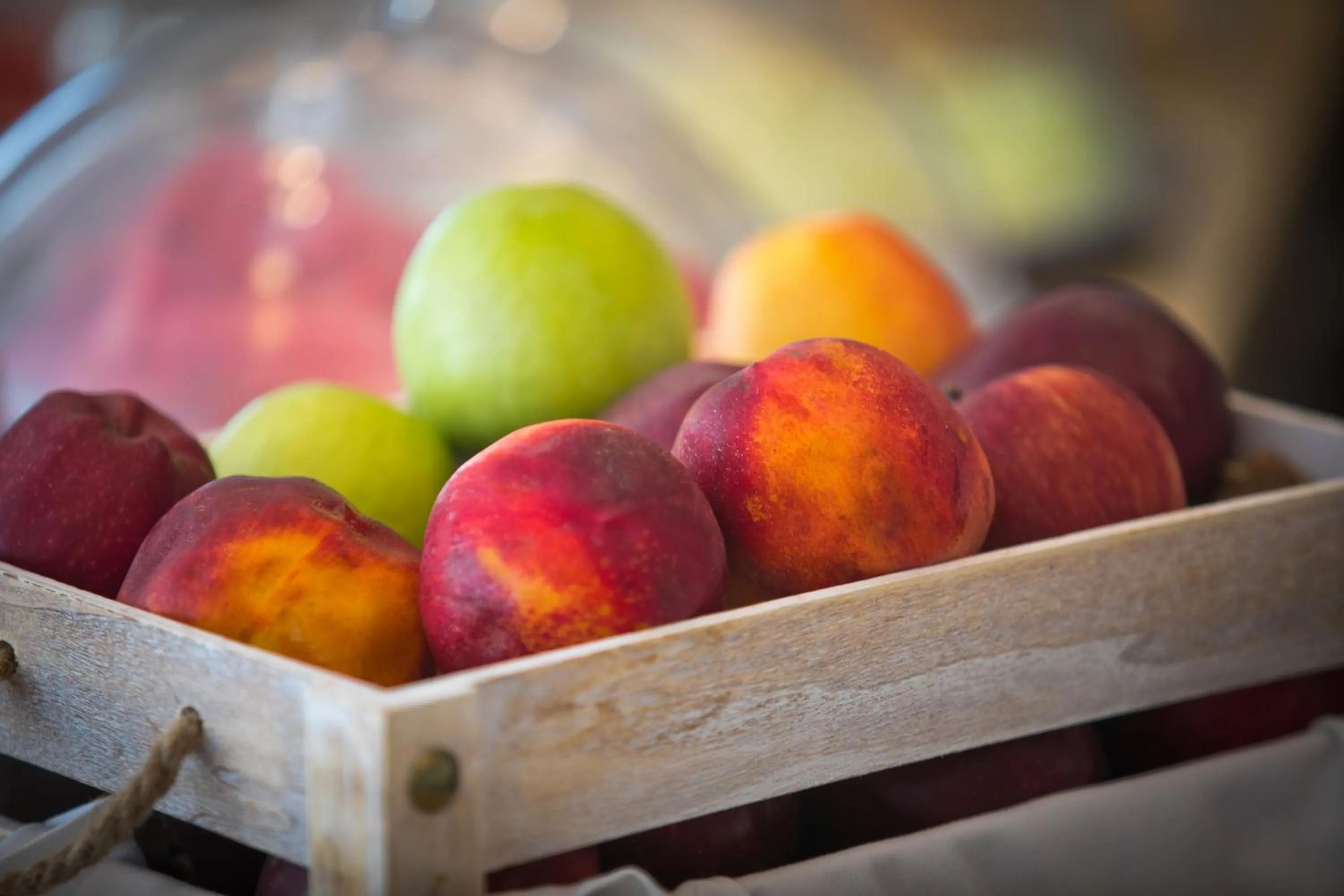 Food and drinks in Elena Village Hotel & Suites