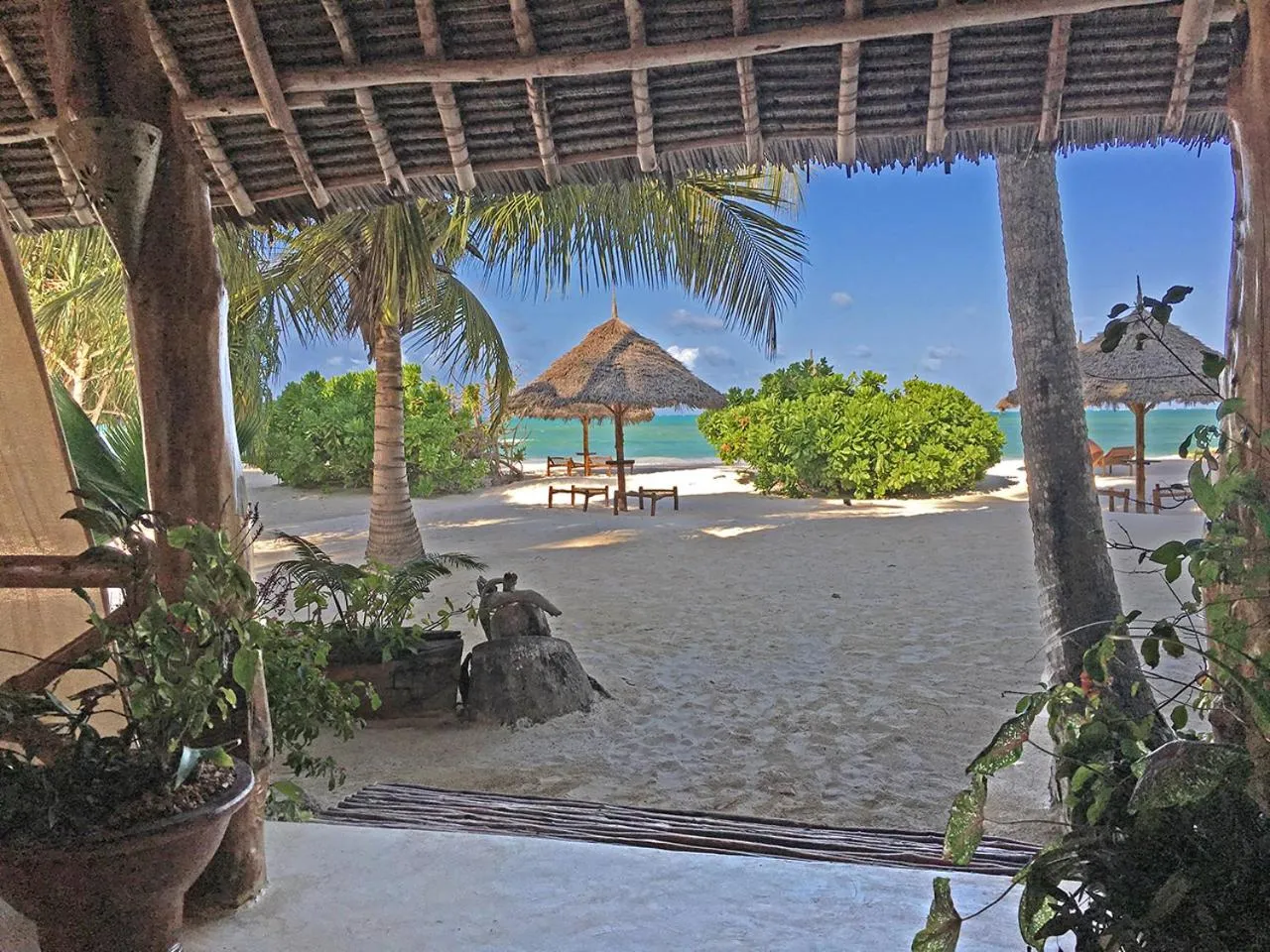 Beach in Pongwe Bay Resort