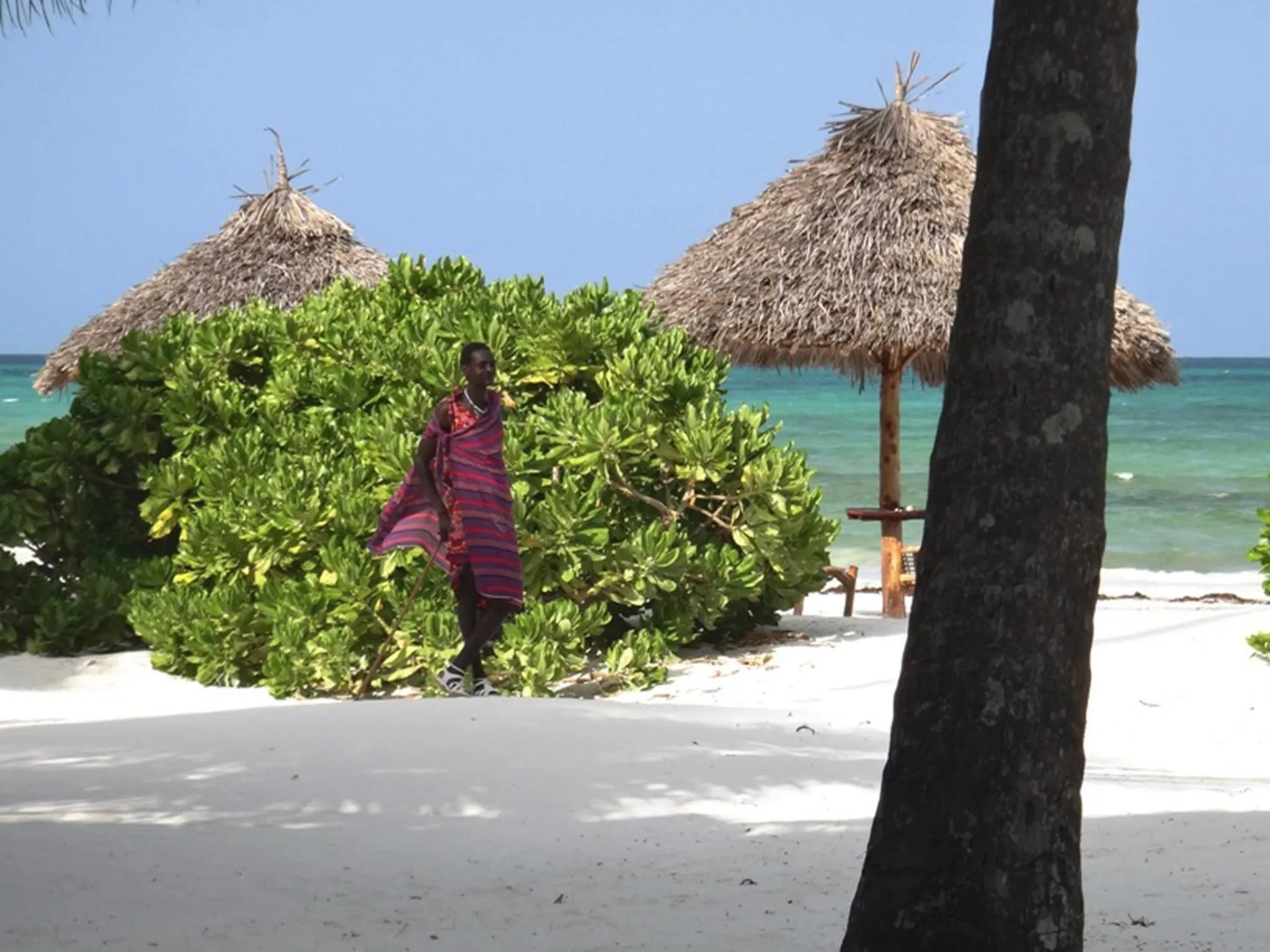 Beach in Pongwe Bay Resort