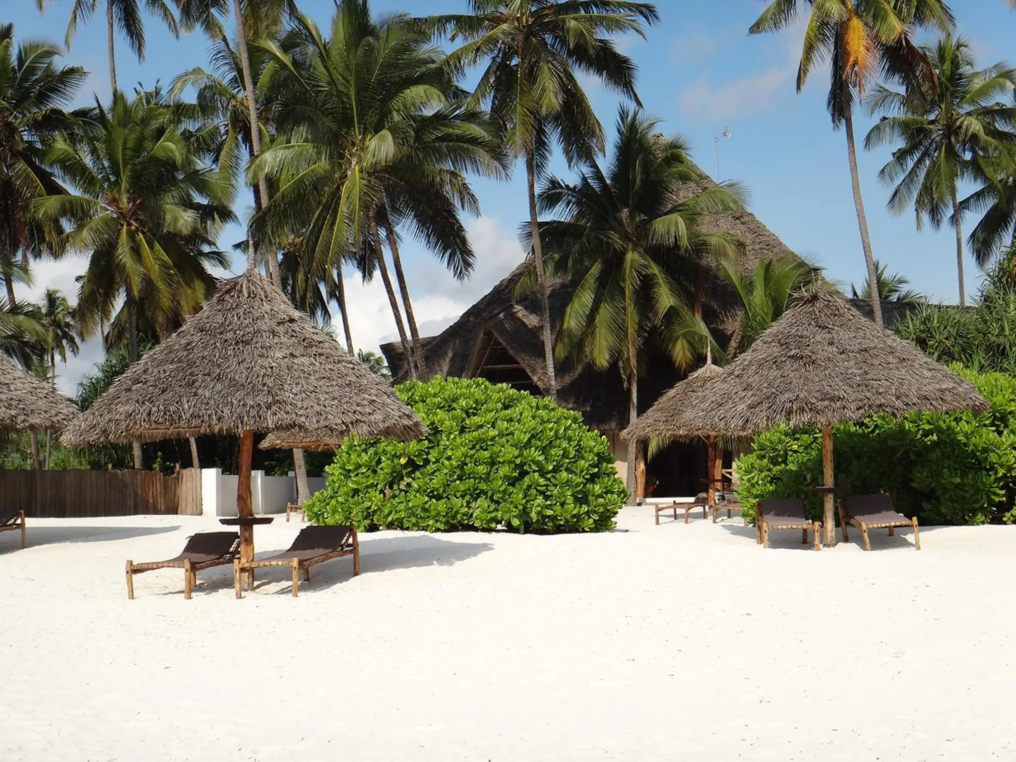 Beach in Pongwe Bay Resort