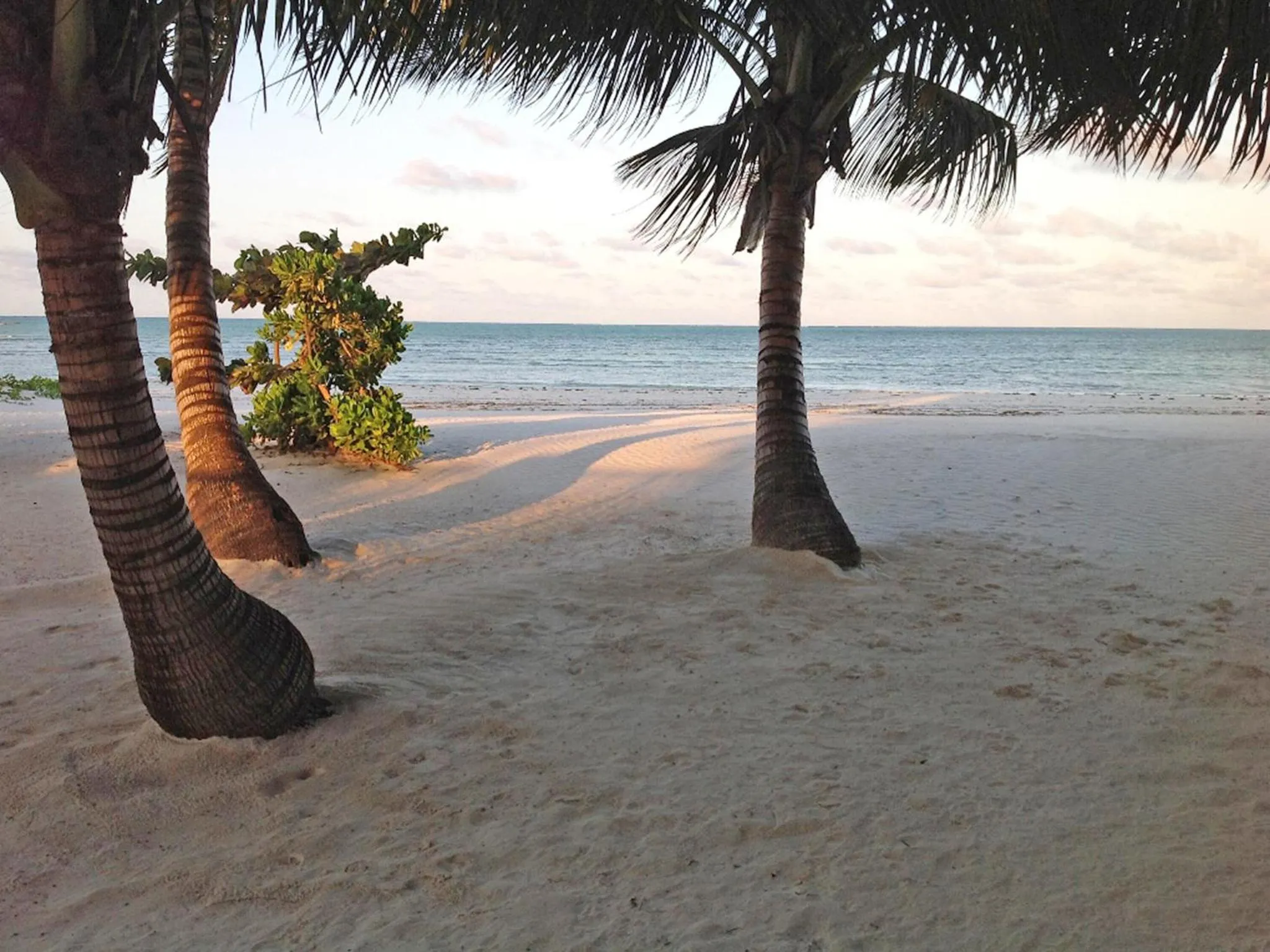 Beach in Pongwe Bay Resort
