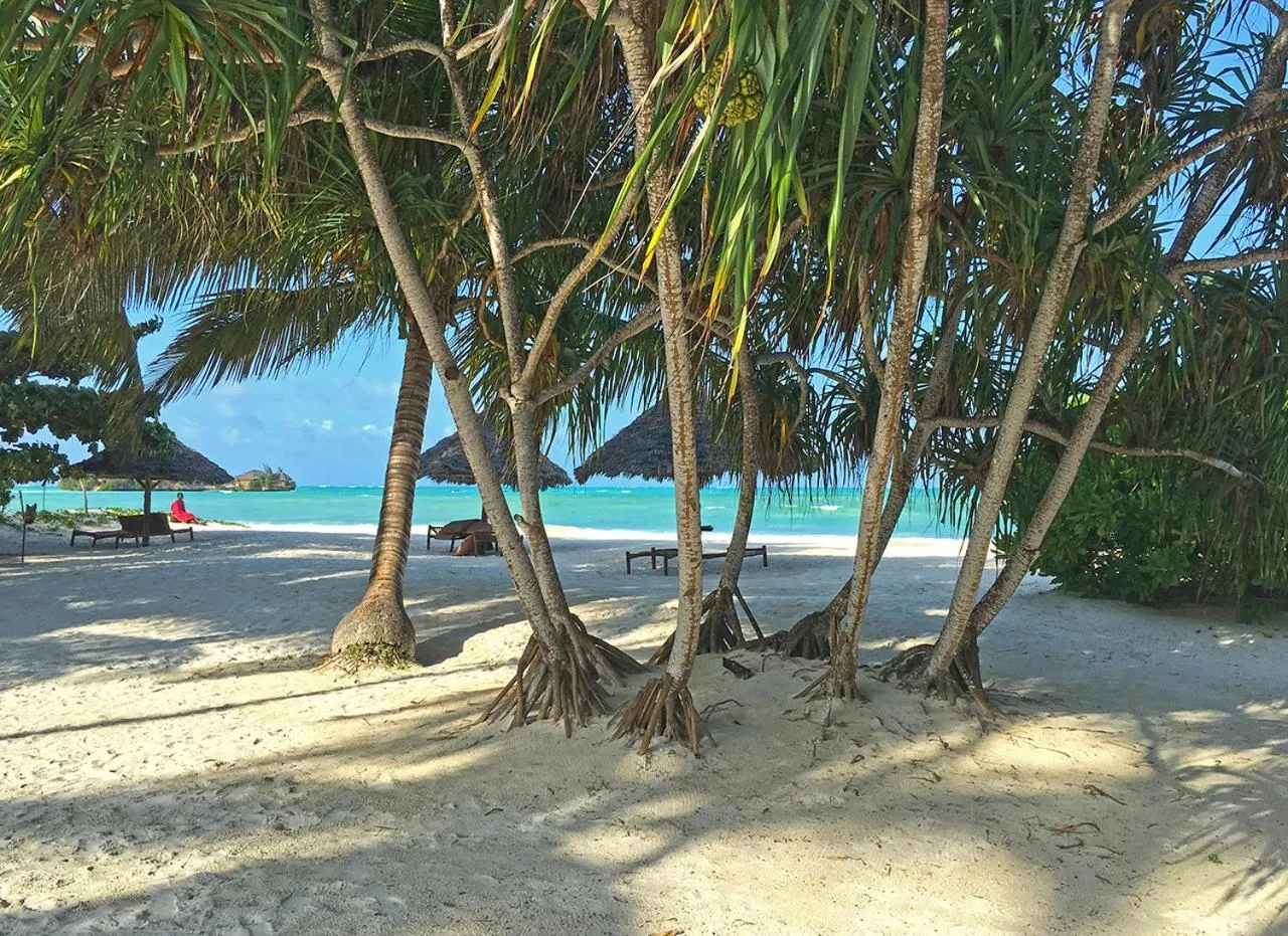 Beach in Pongwe Bay Resort