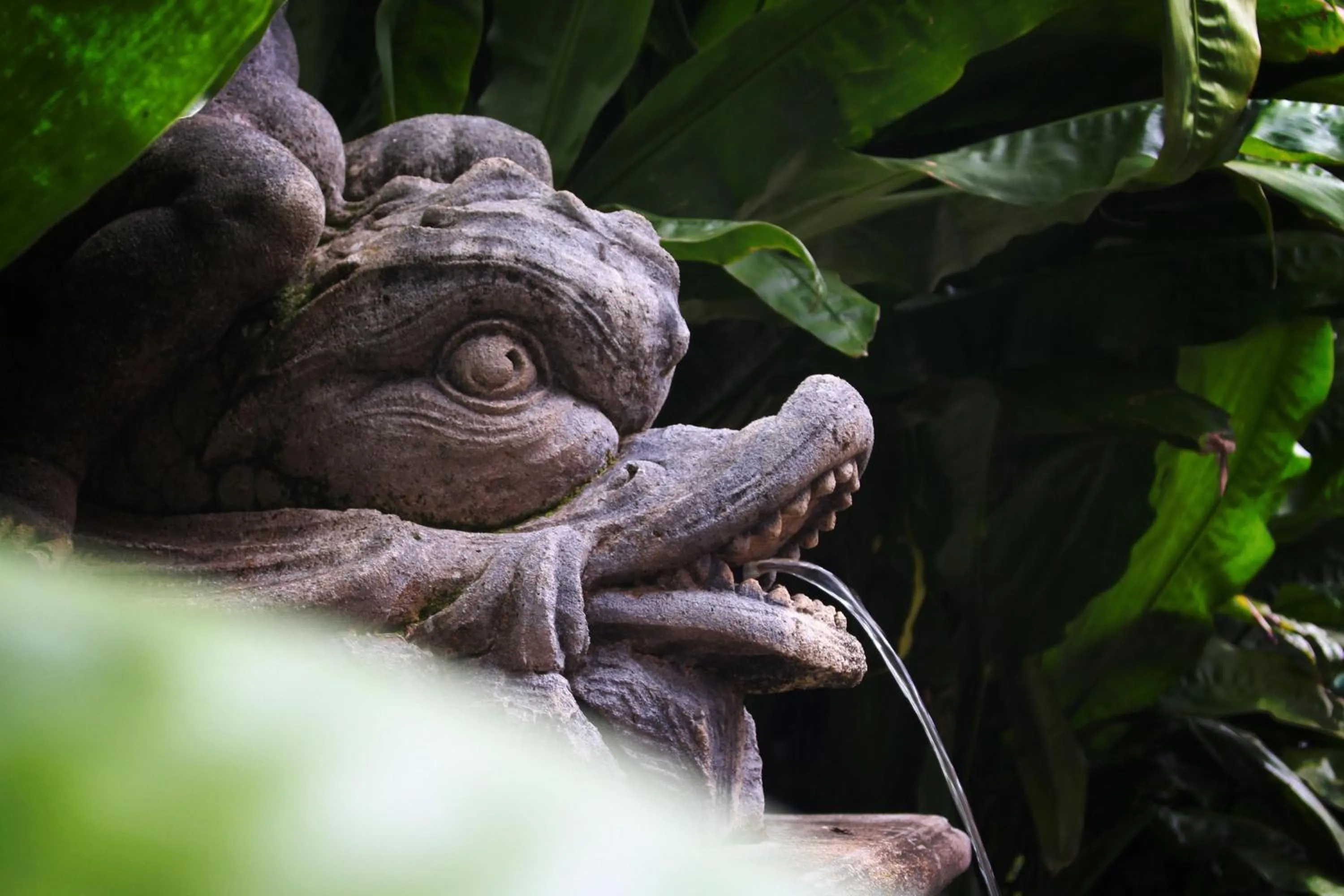 Decorative detail in Locanda della Mimosa