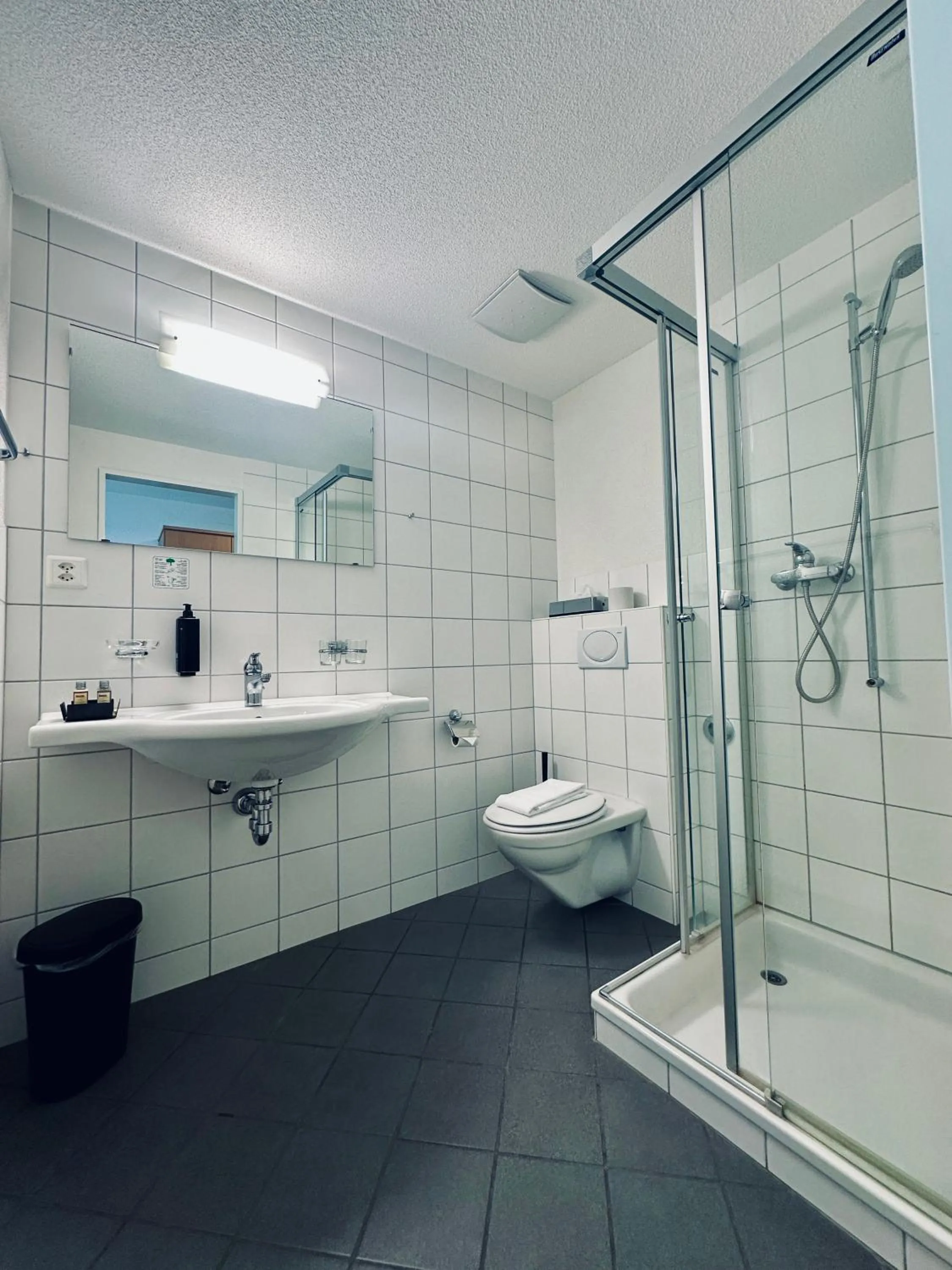 Shower in Hotel Rebstock Meiringen