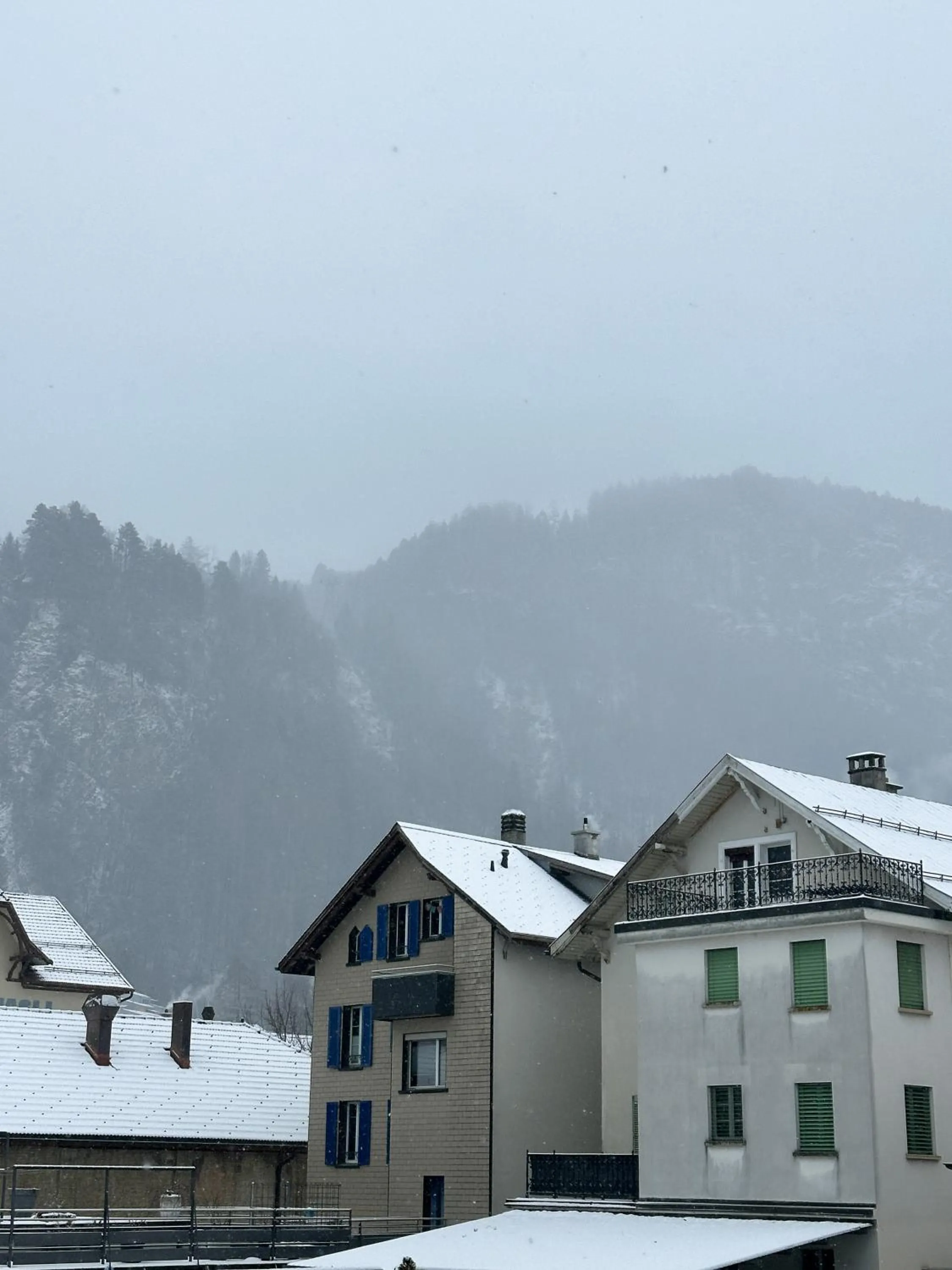 Winter in Hotel Rebstock Meiringen