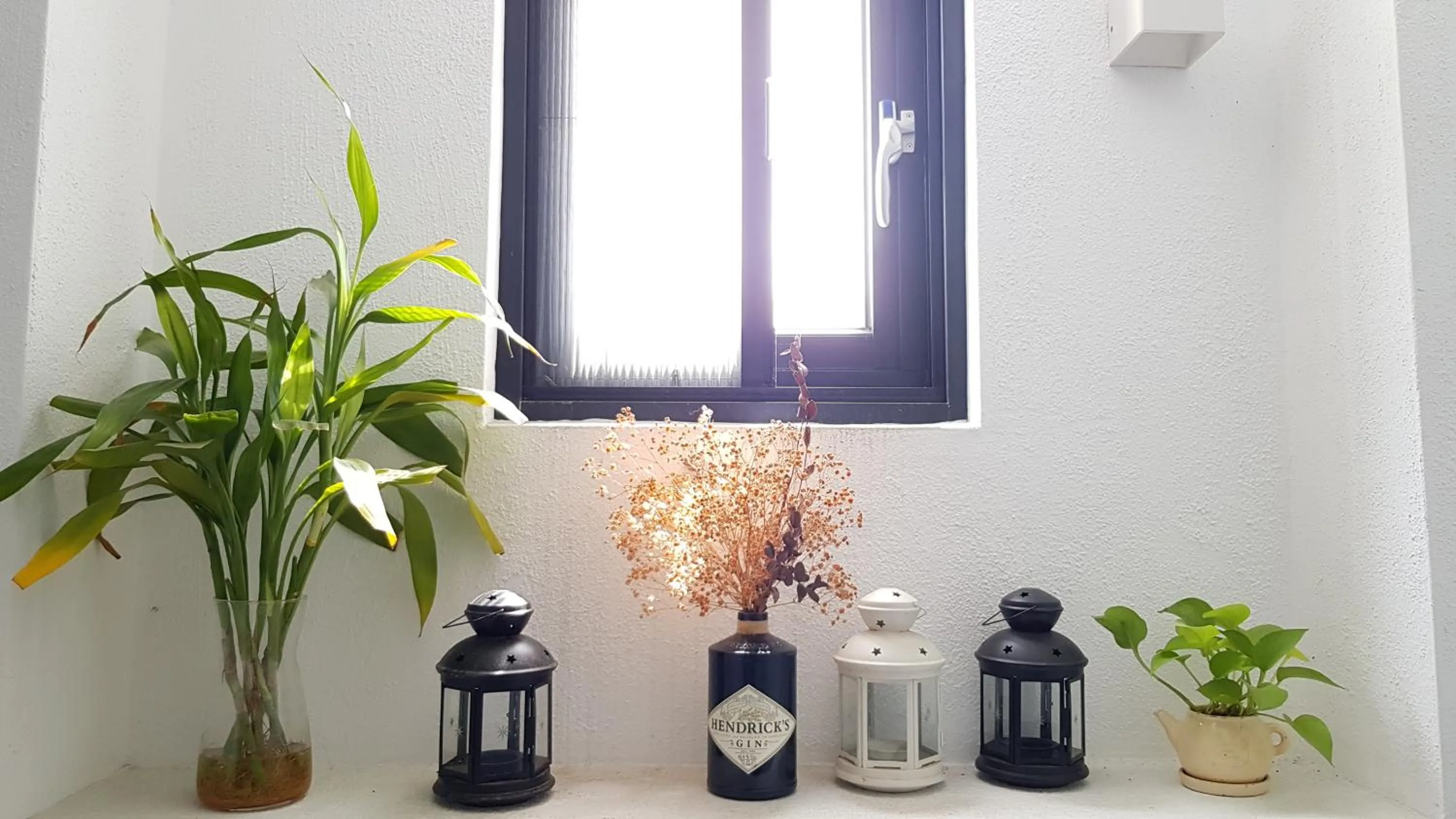 Bird's eye view in The Red Hotel