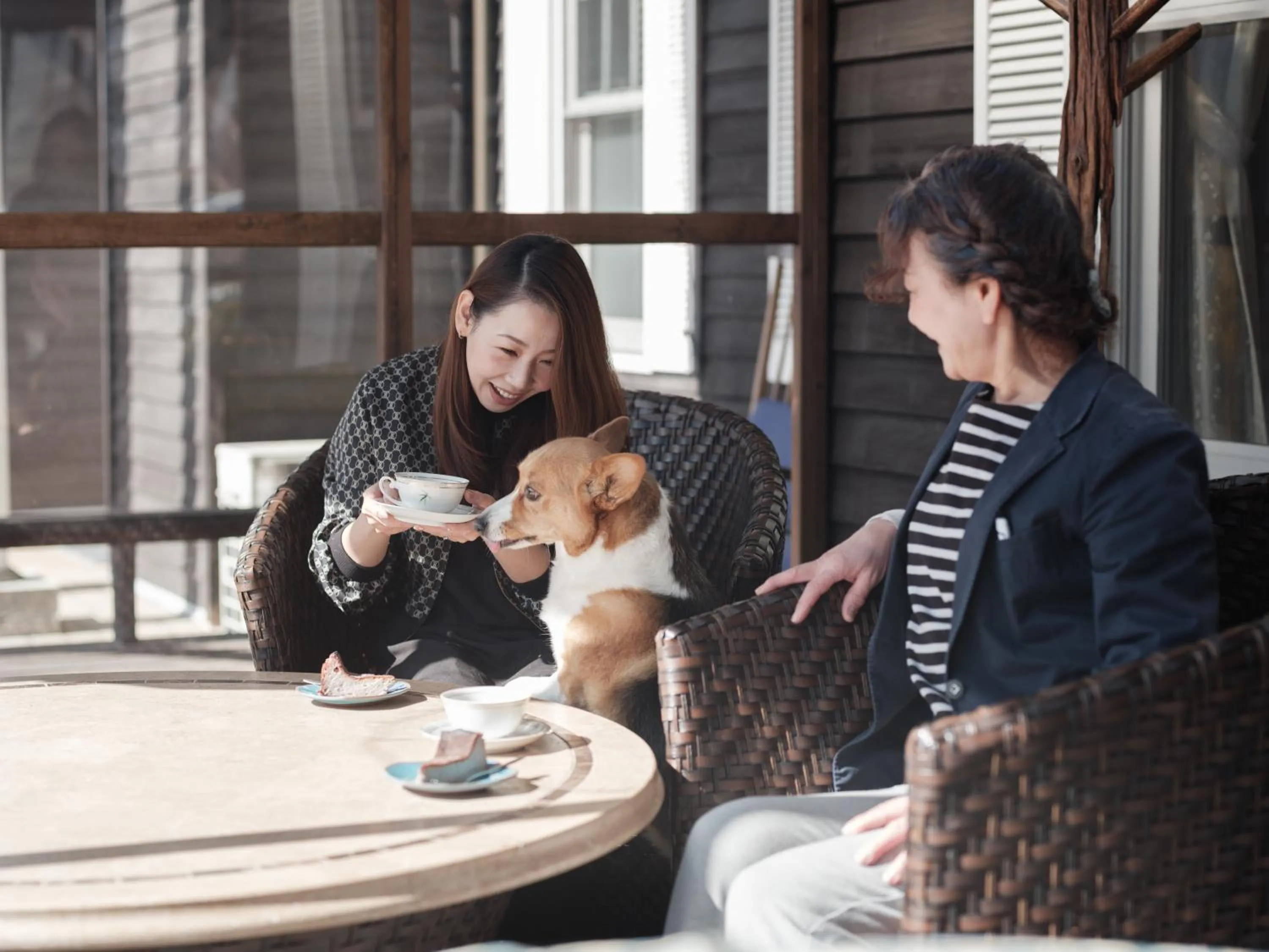 Balcony/Terrace in Lodge Kent & Cottage Kent