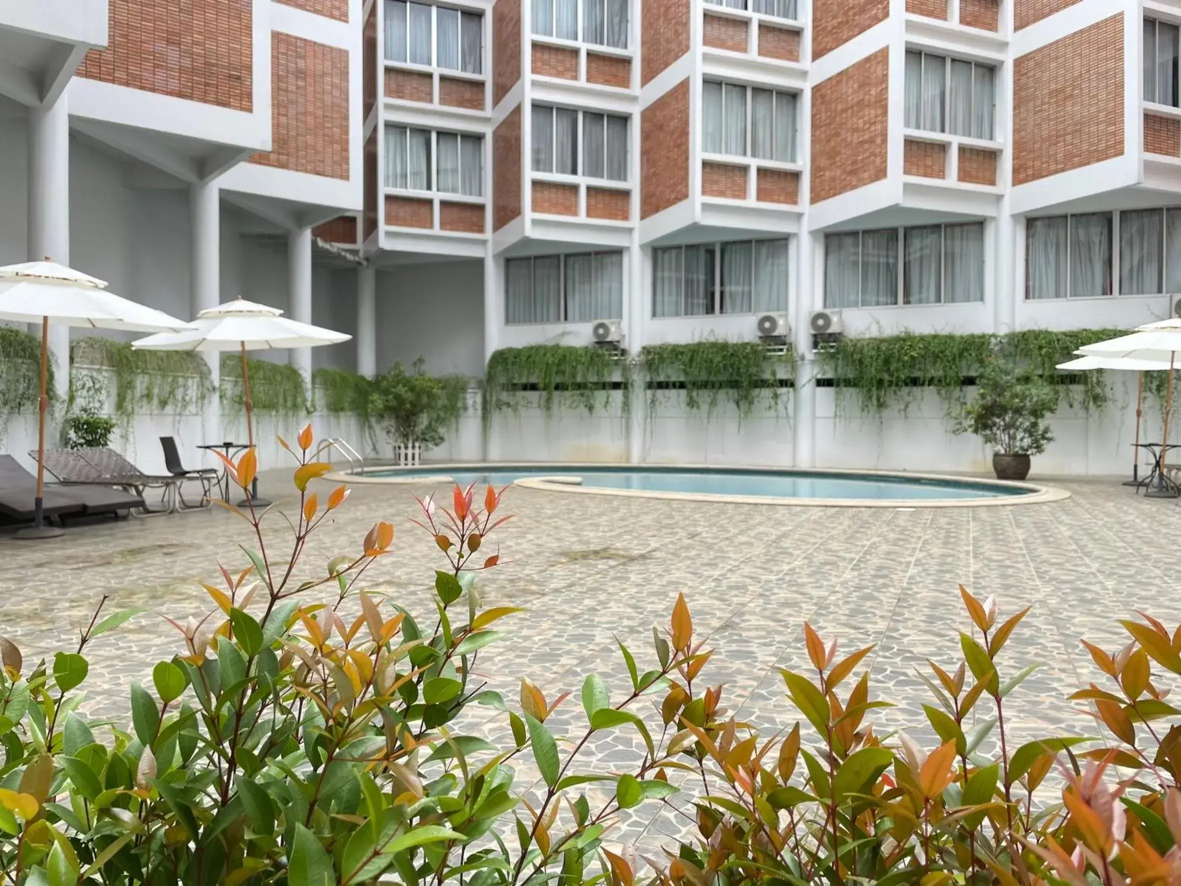 Swimming pool in Wangcome Hotel Swimming pool in Wangcome Hotel