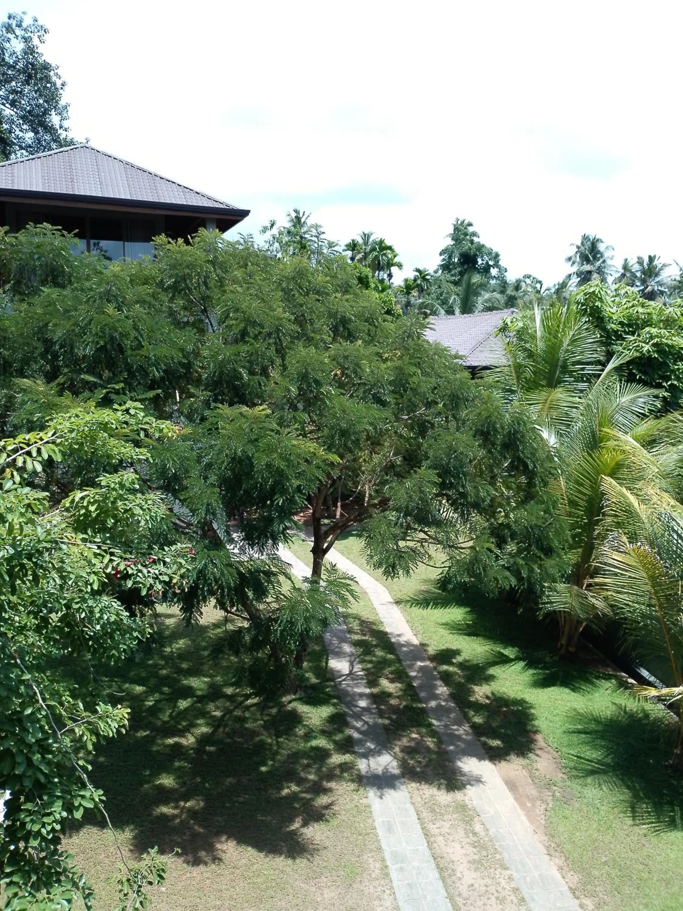 Garden in Villa Rumassala Luxury Chalets Unawatuna