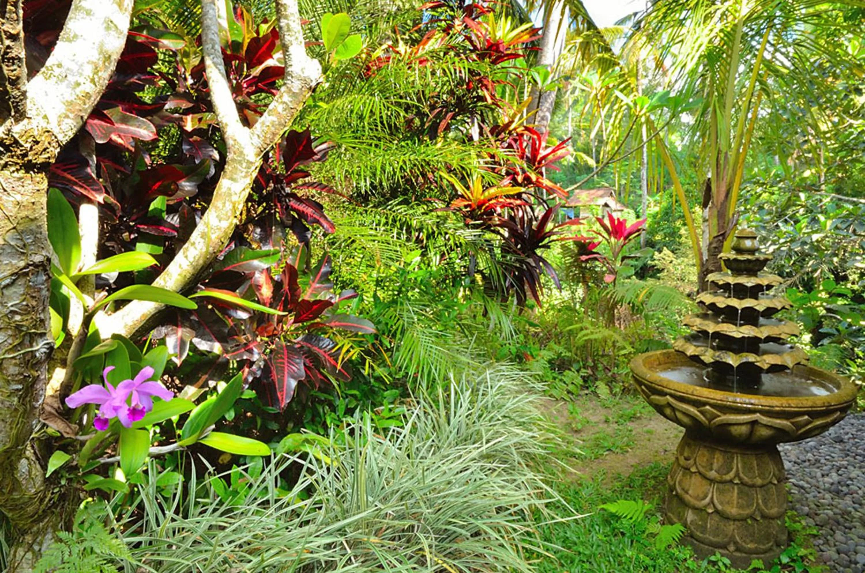 Garden in Jendela Di Bali Villa
