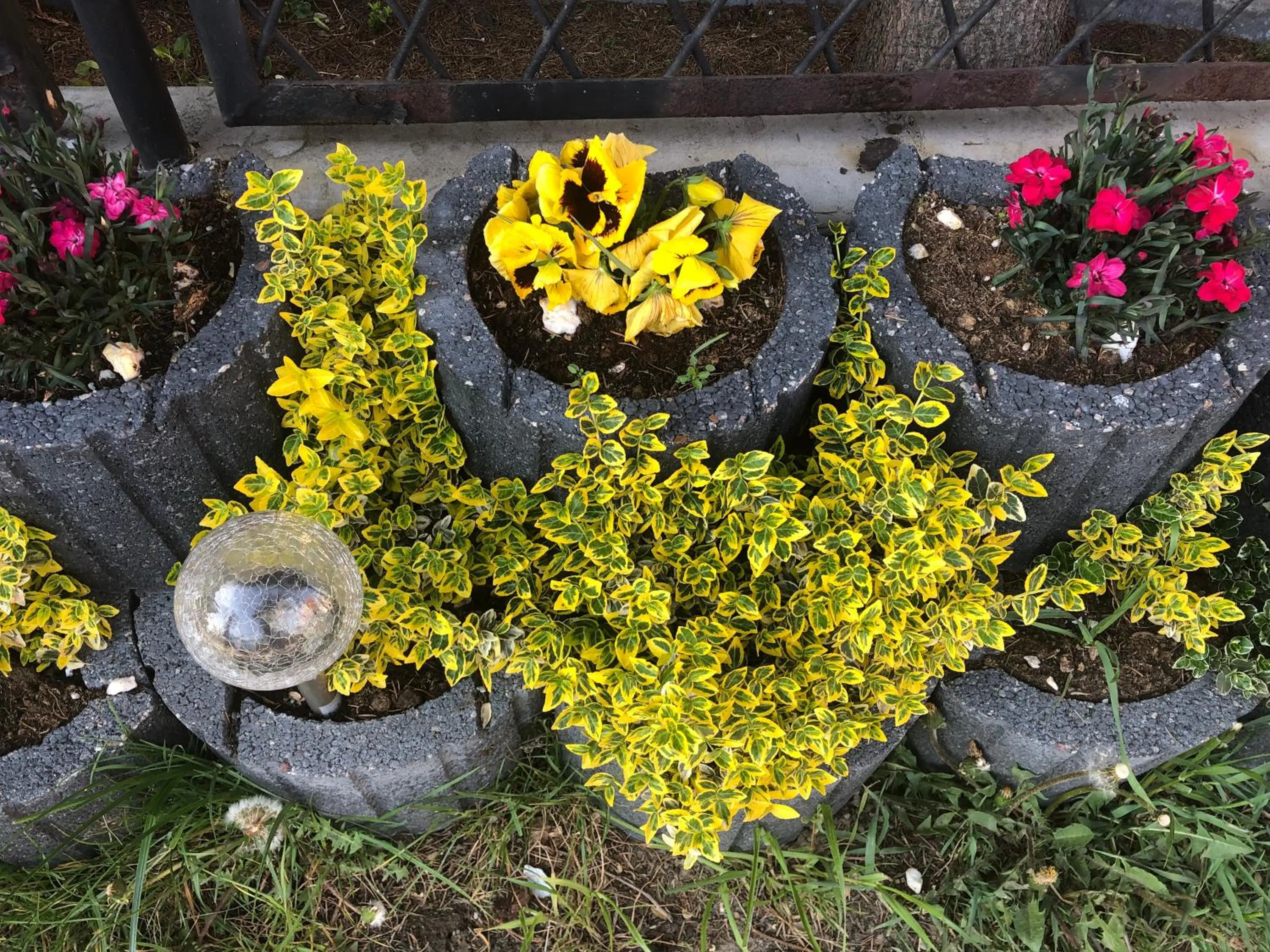 Garden in Villa Aida pokoje gościnne