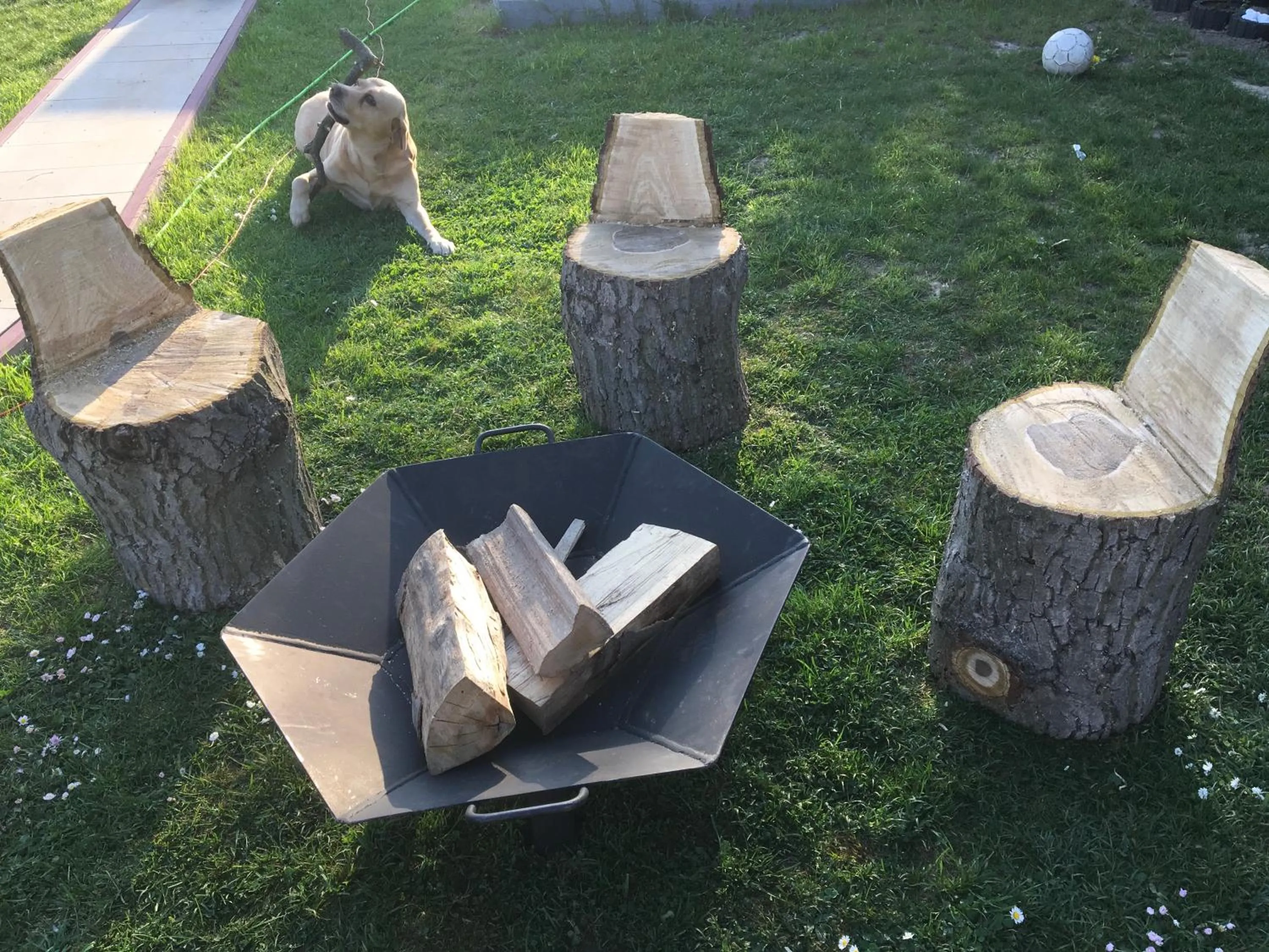 Garden in Villa Aida pokoje gościnne