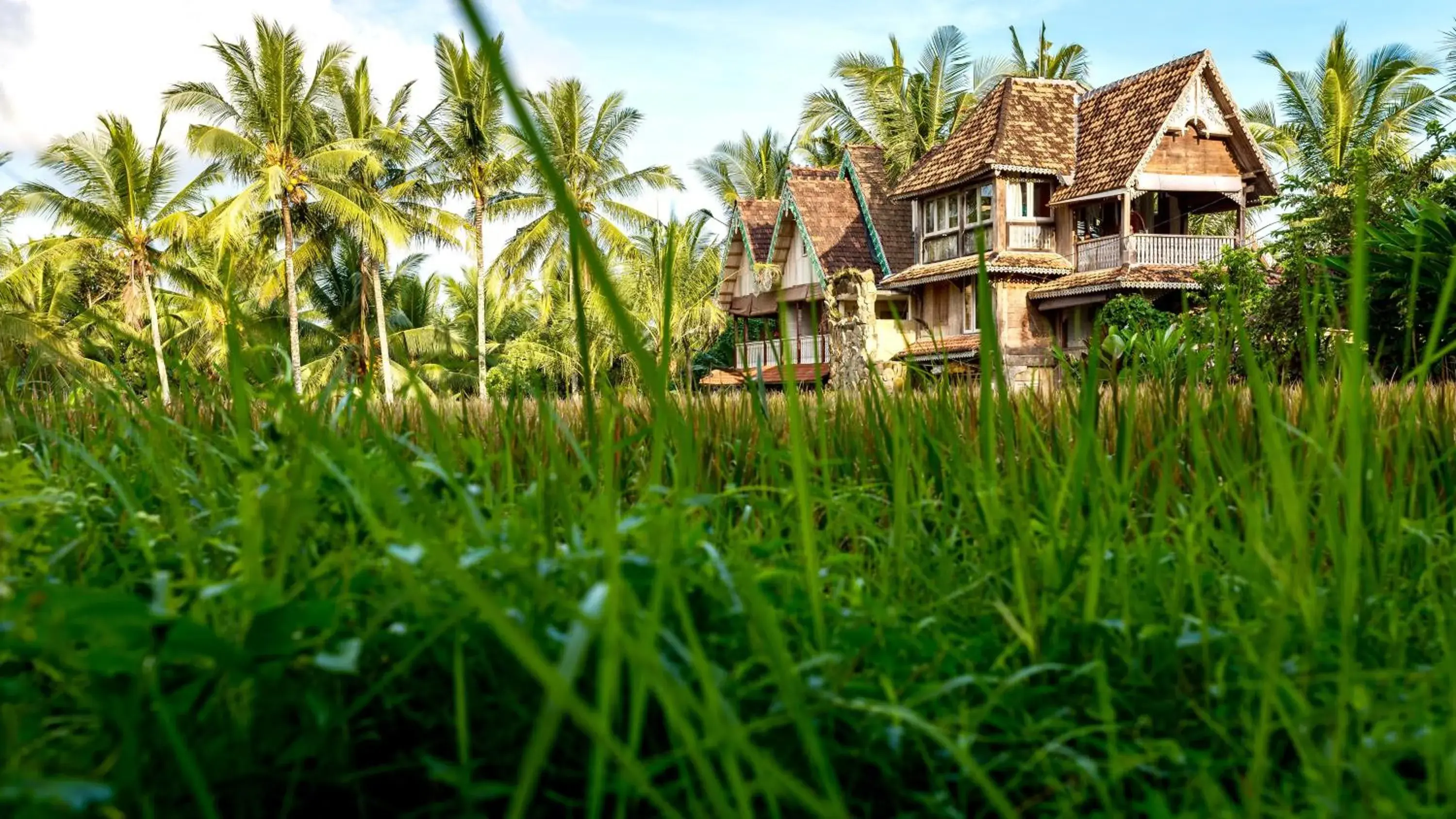 The Rice Joglo Eco-Stay The Rice Joglo Eco-Stay